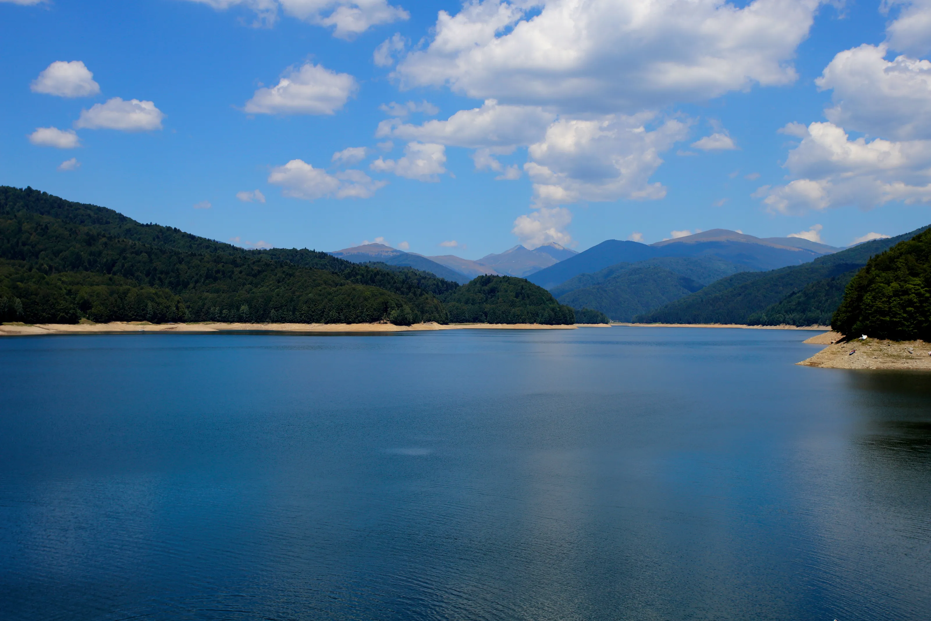 Banner image