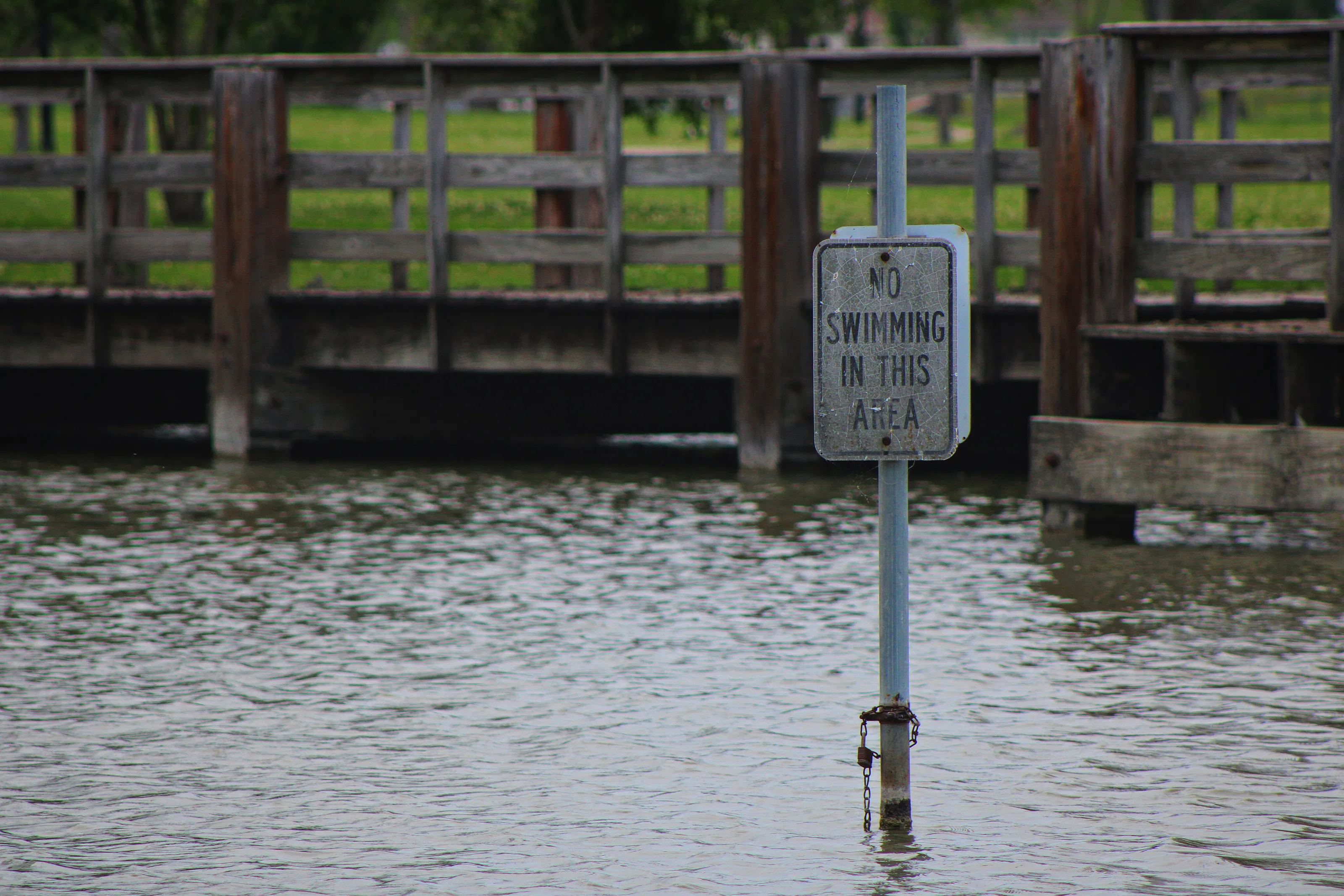 No swimming