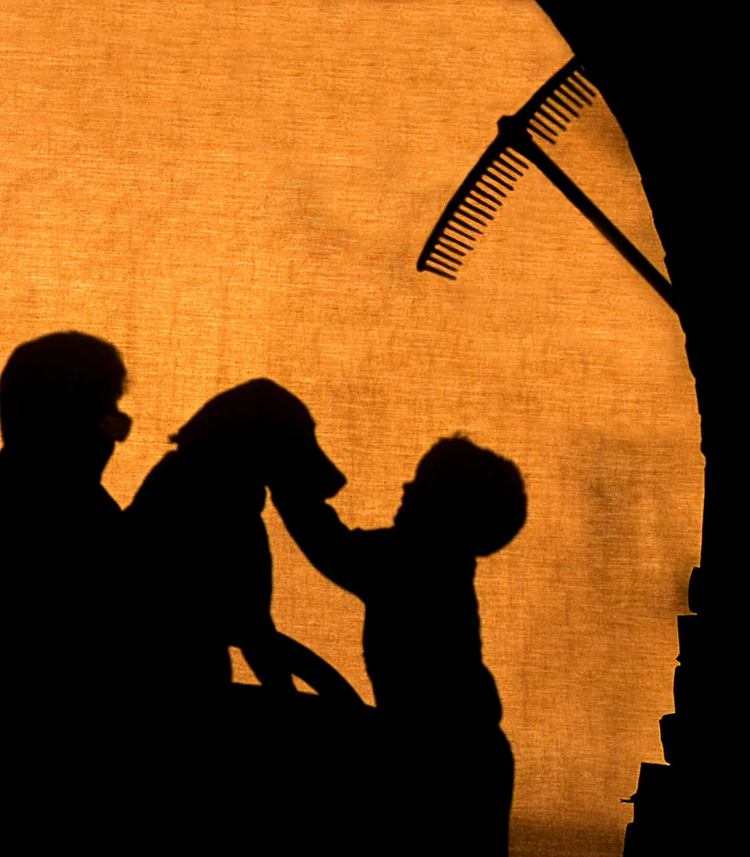 Entry 16075747