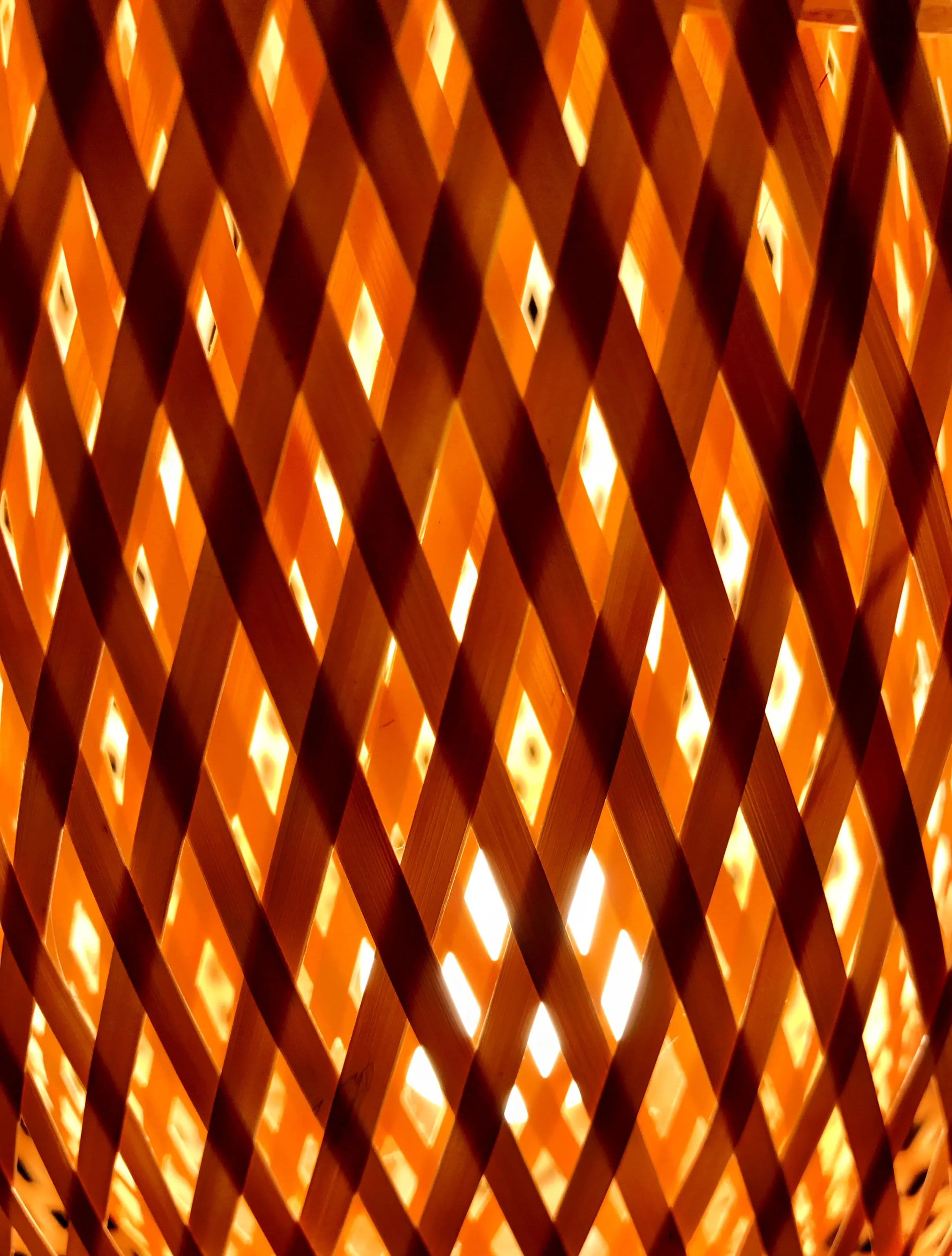 Internal Light 2017