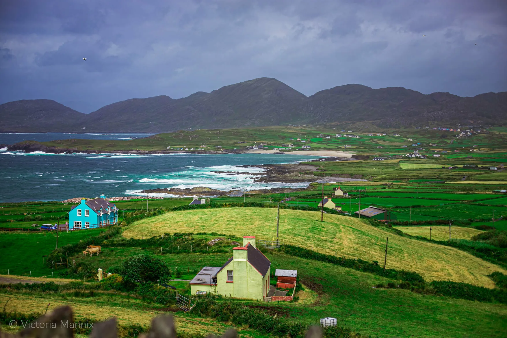 Colours of West Cork