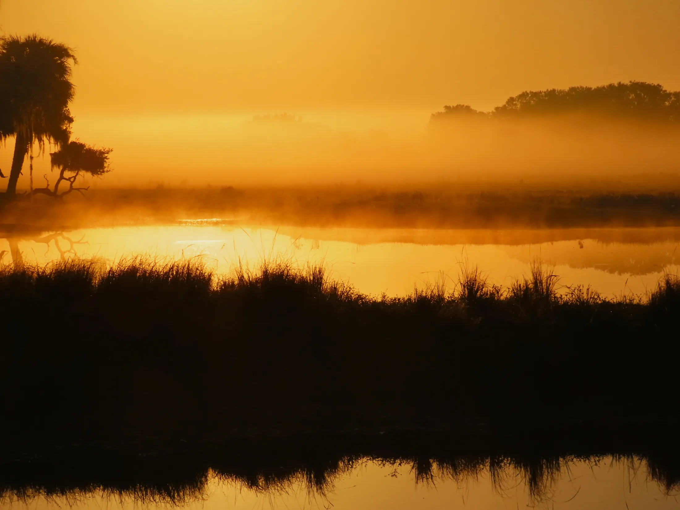 Sunrise Over The Pond