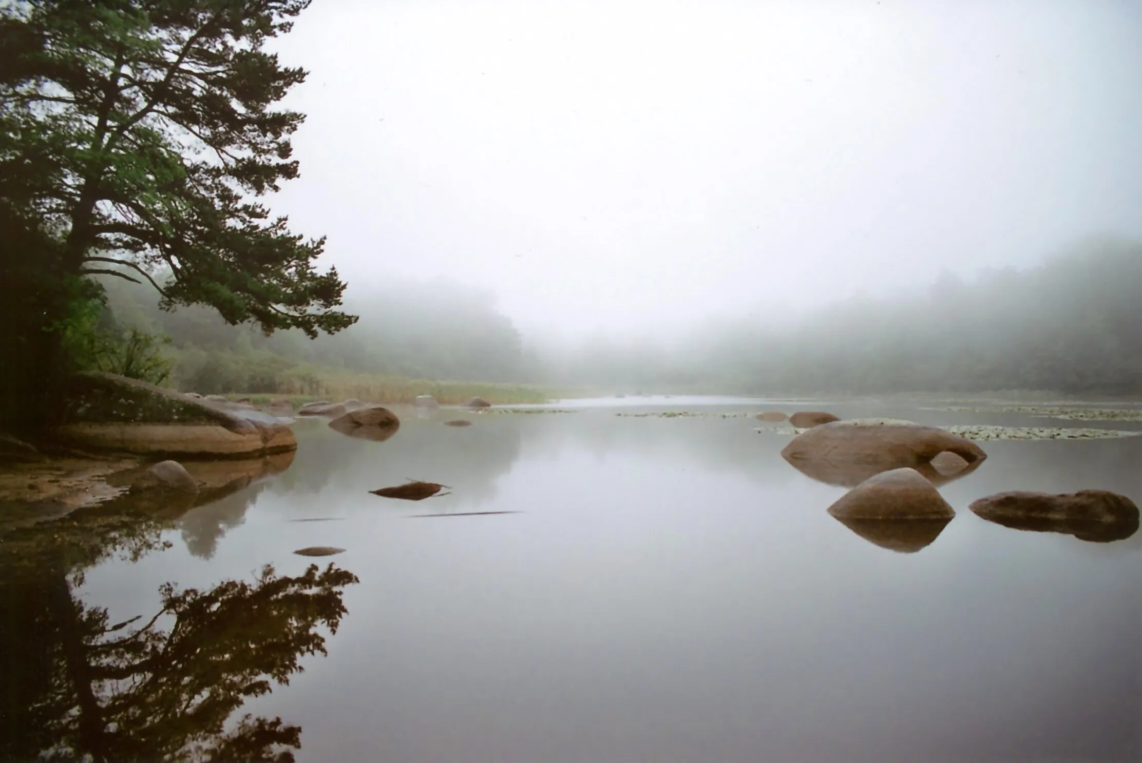 Misty Lake