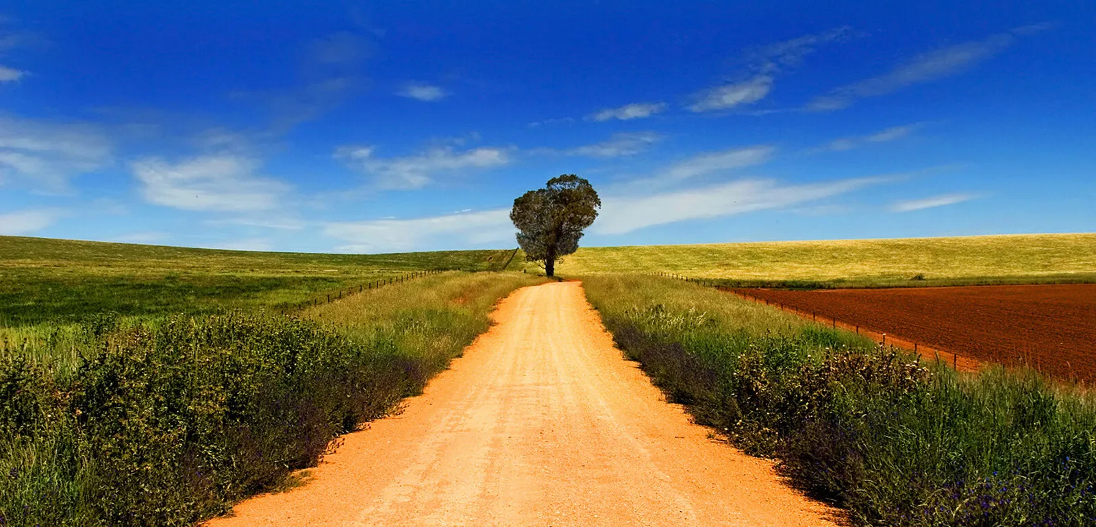 Road to Nowhere