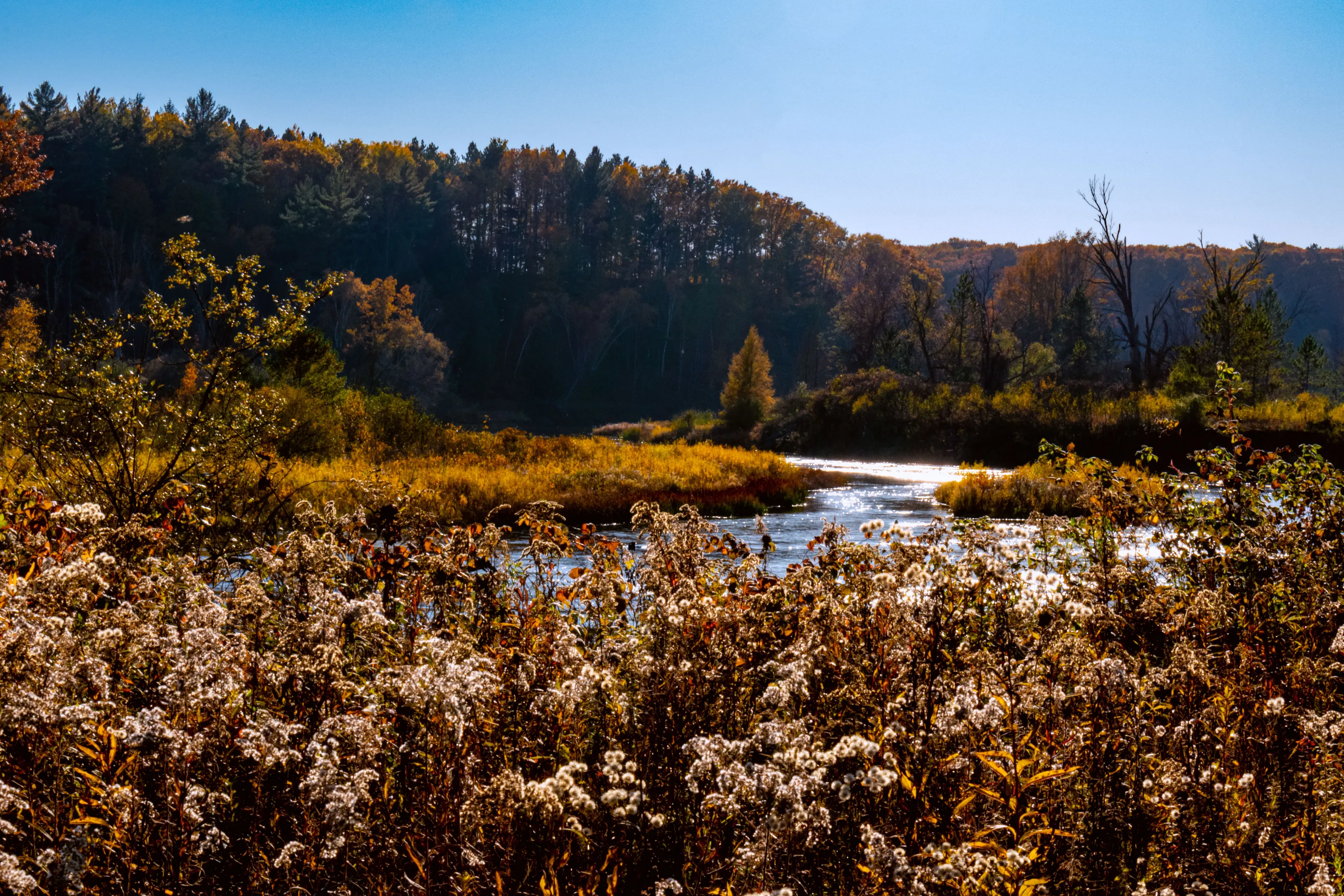 River - edited