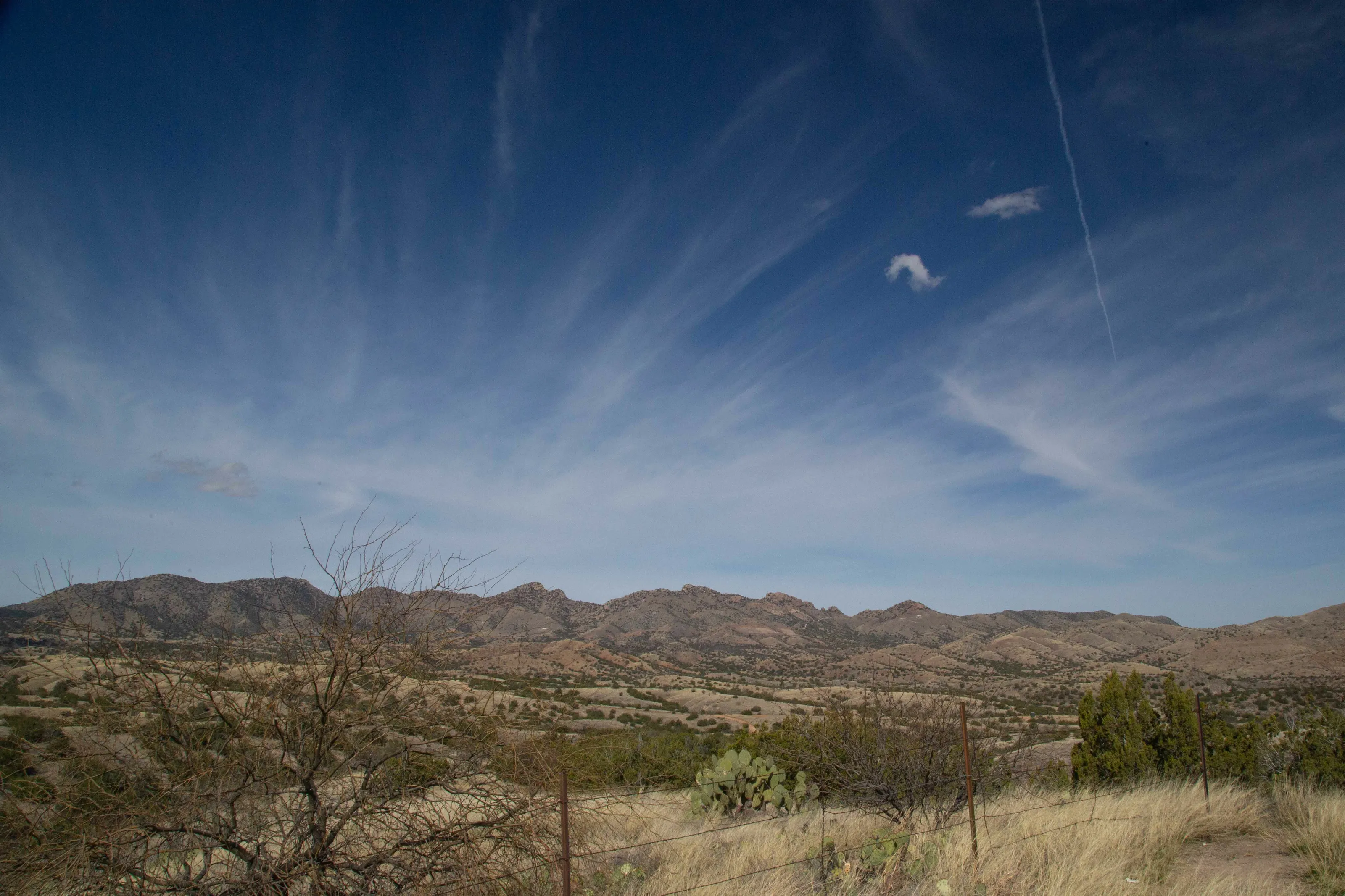 Coronado Nat. Forest