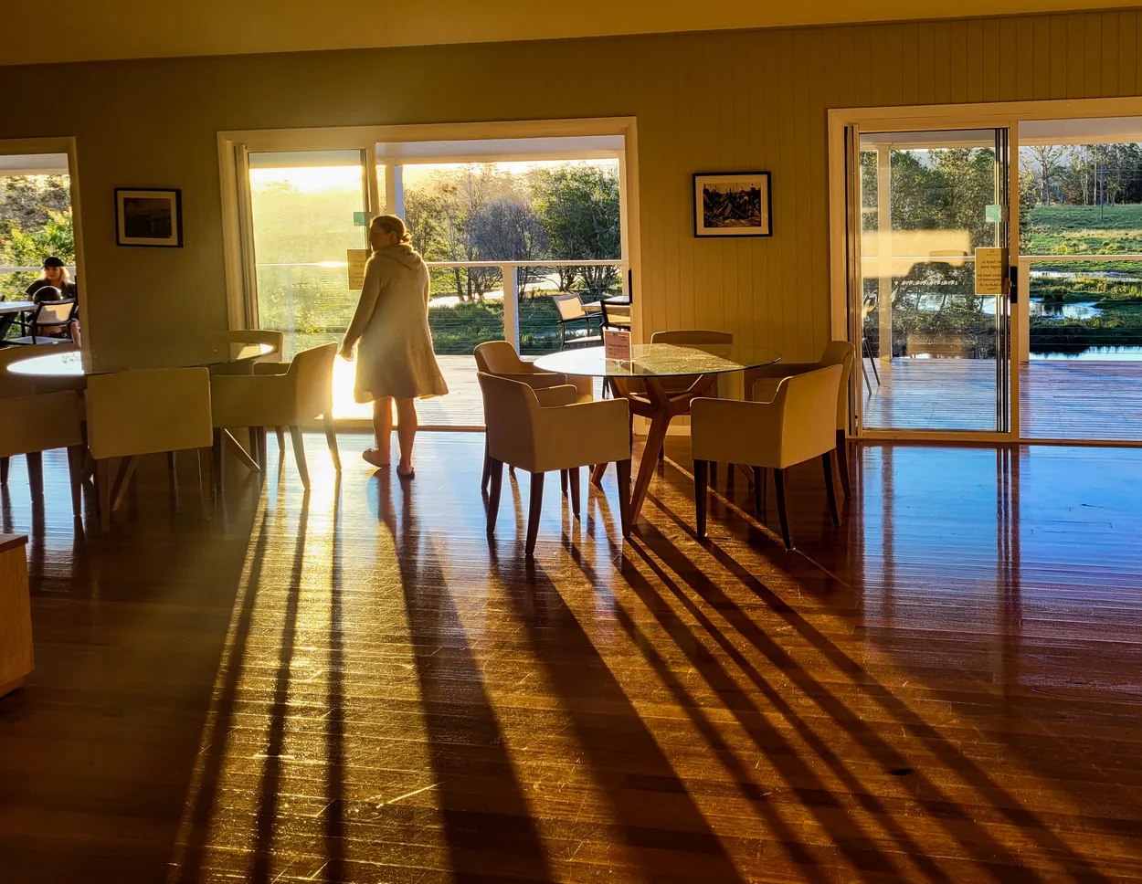 Low afternoon shadows