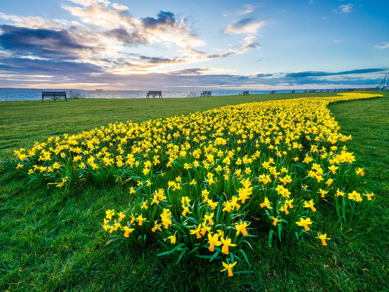 Entry 27855726