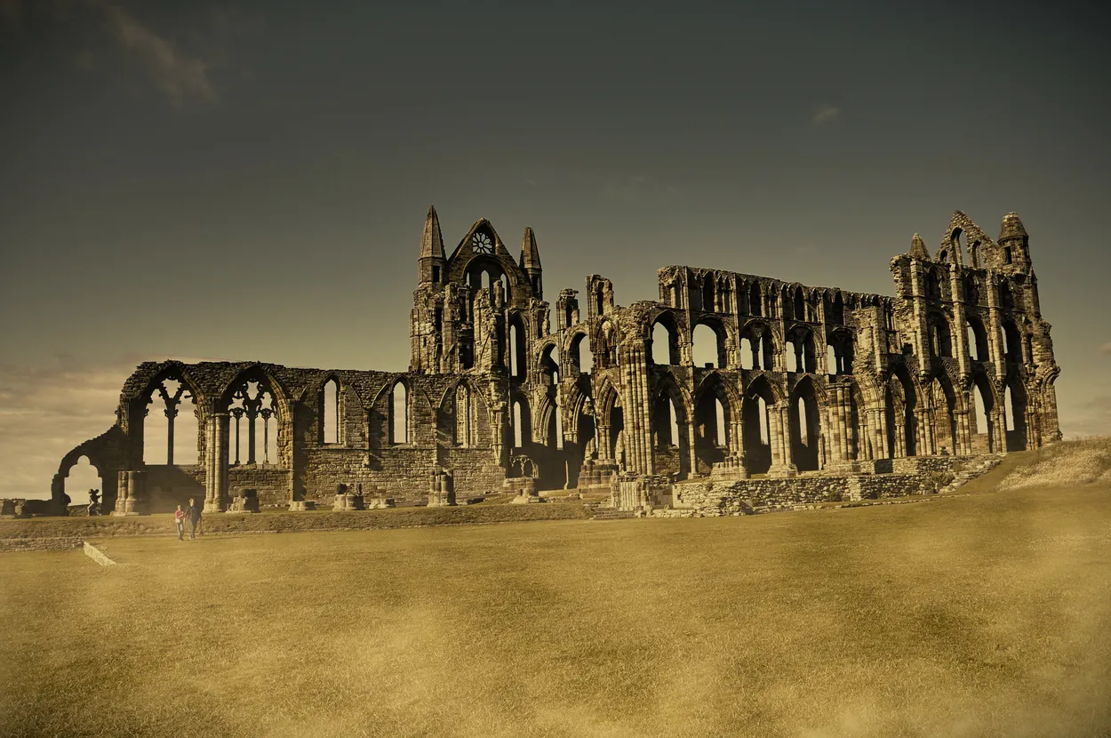 Entry 17619385