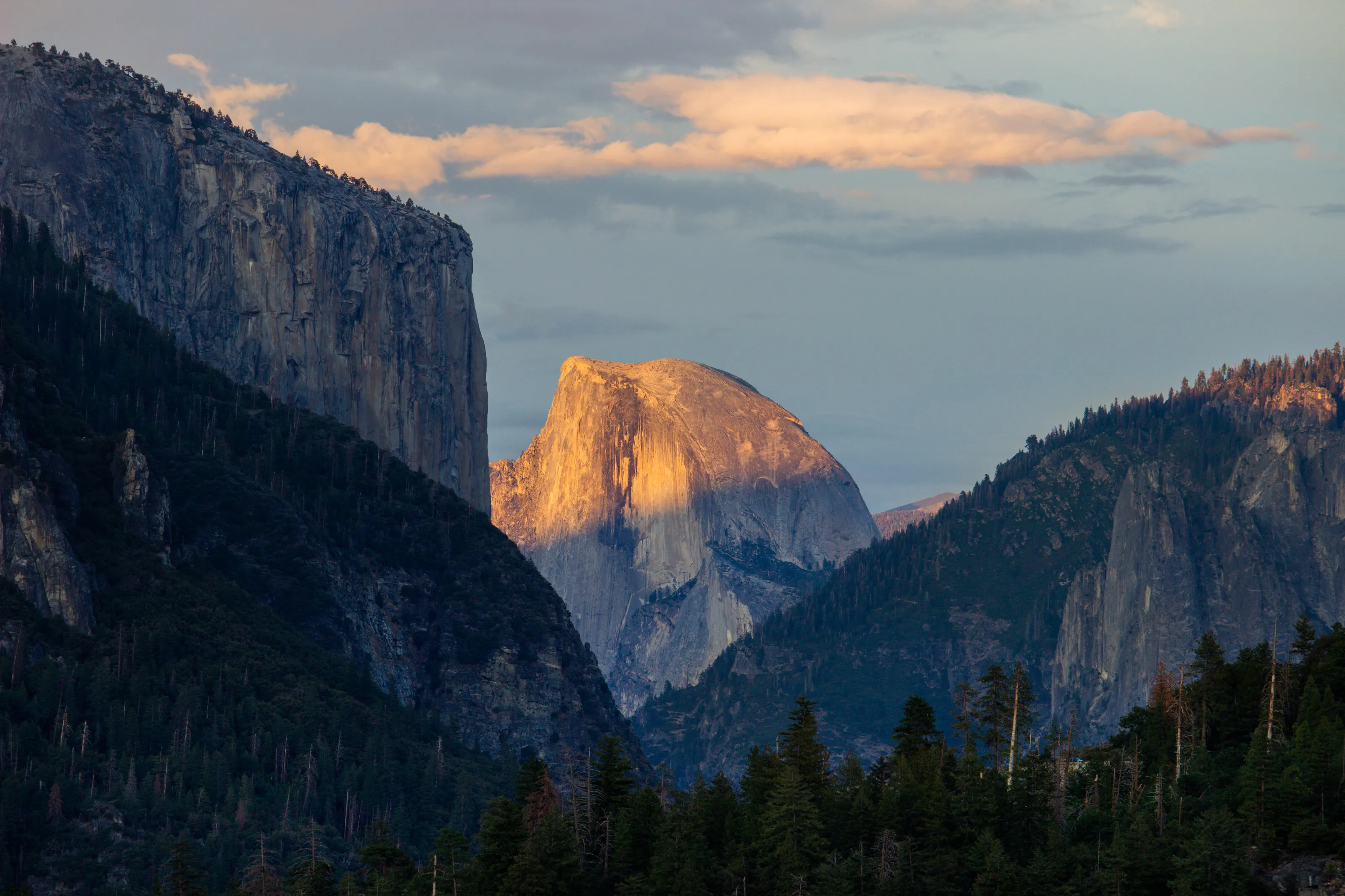 Golden arch