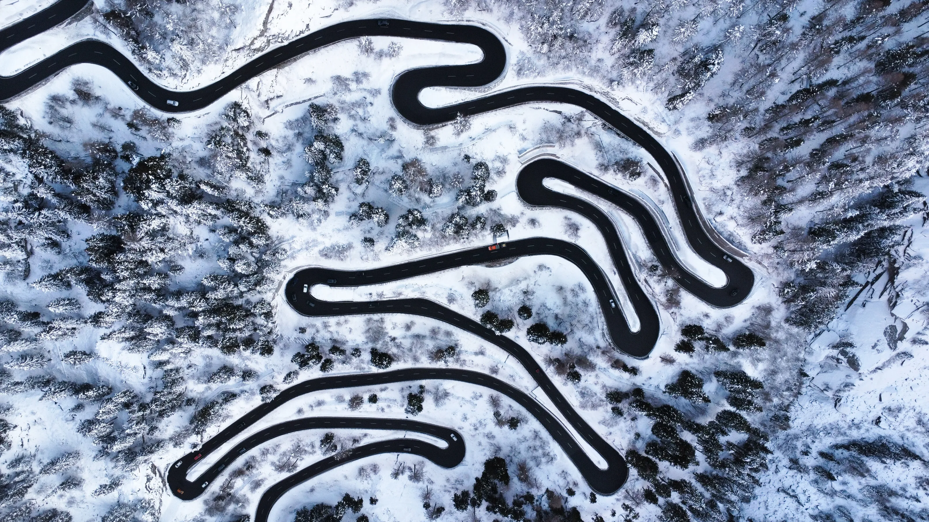 Twists and turns in the Swiss Alps