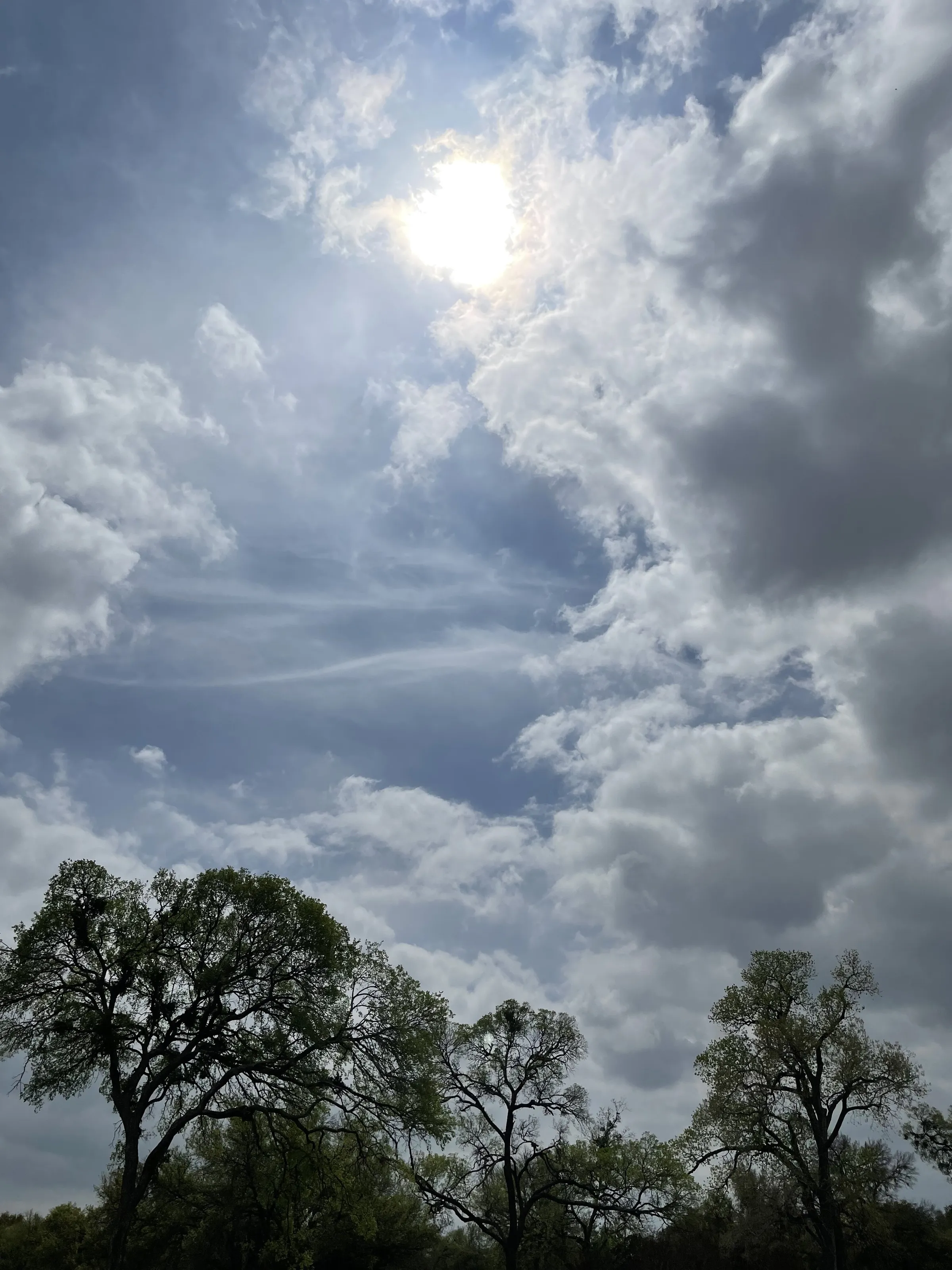 Portal to Heaven