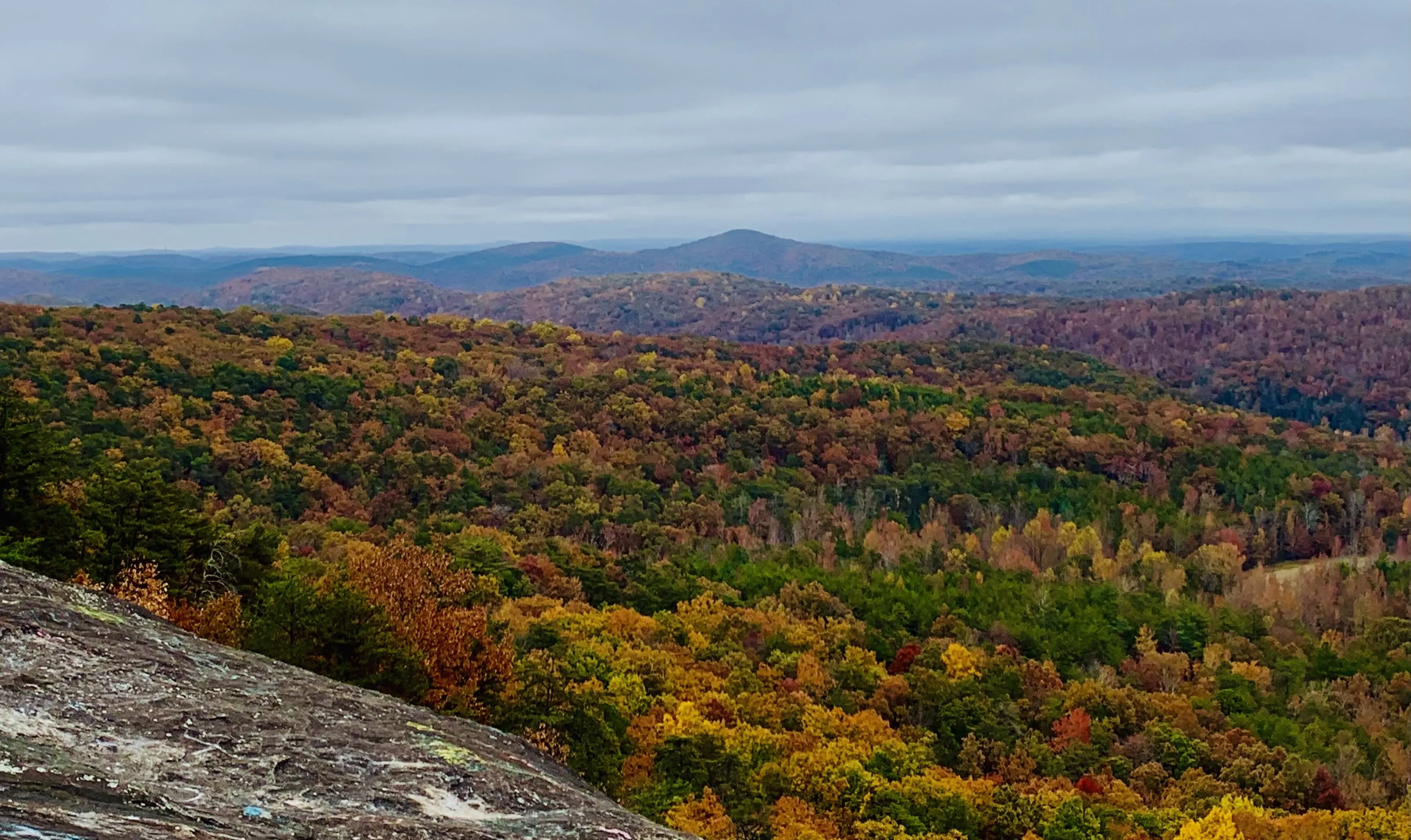 North Carolina