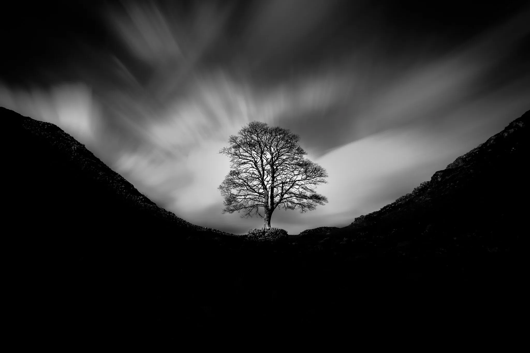 Sycamore Gap, a lone tree known as Robin Hood Tree