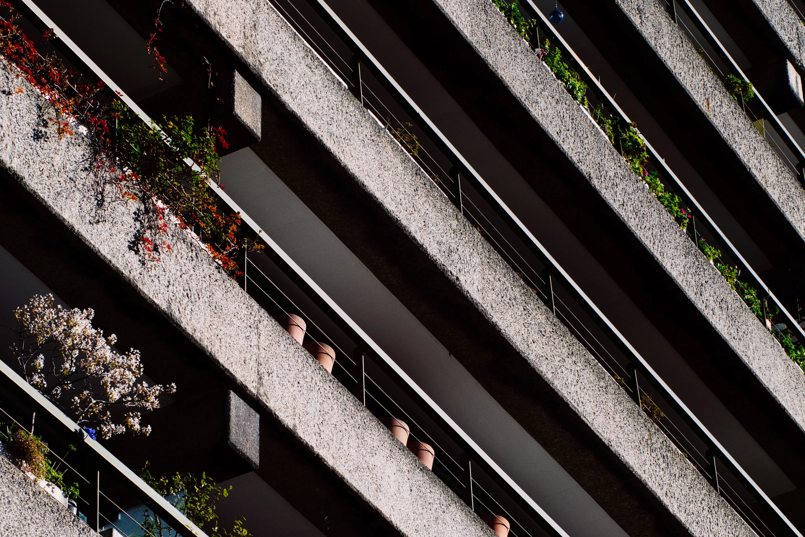 Brutal Foliage