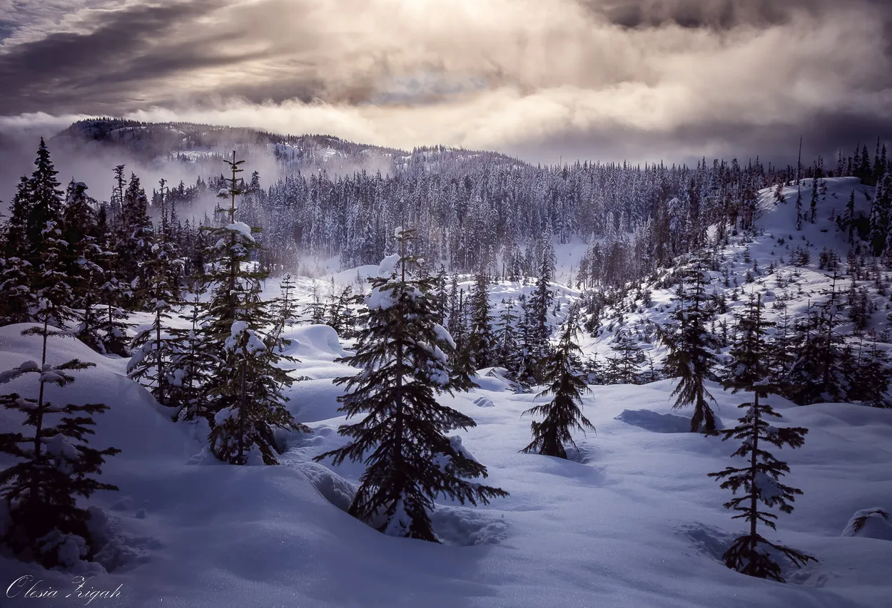 Entry 25631666