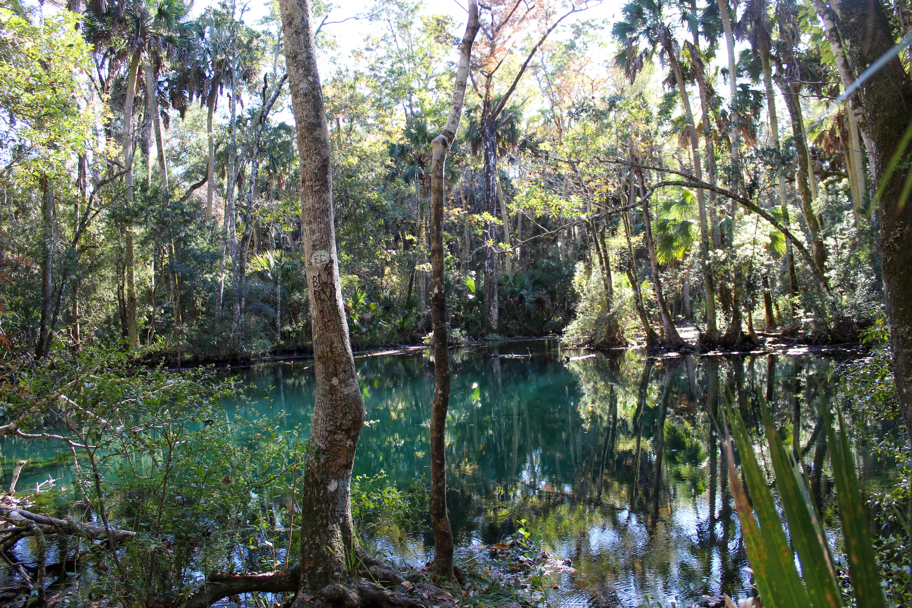 Shepherd Spring in Florida