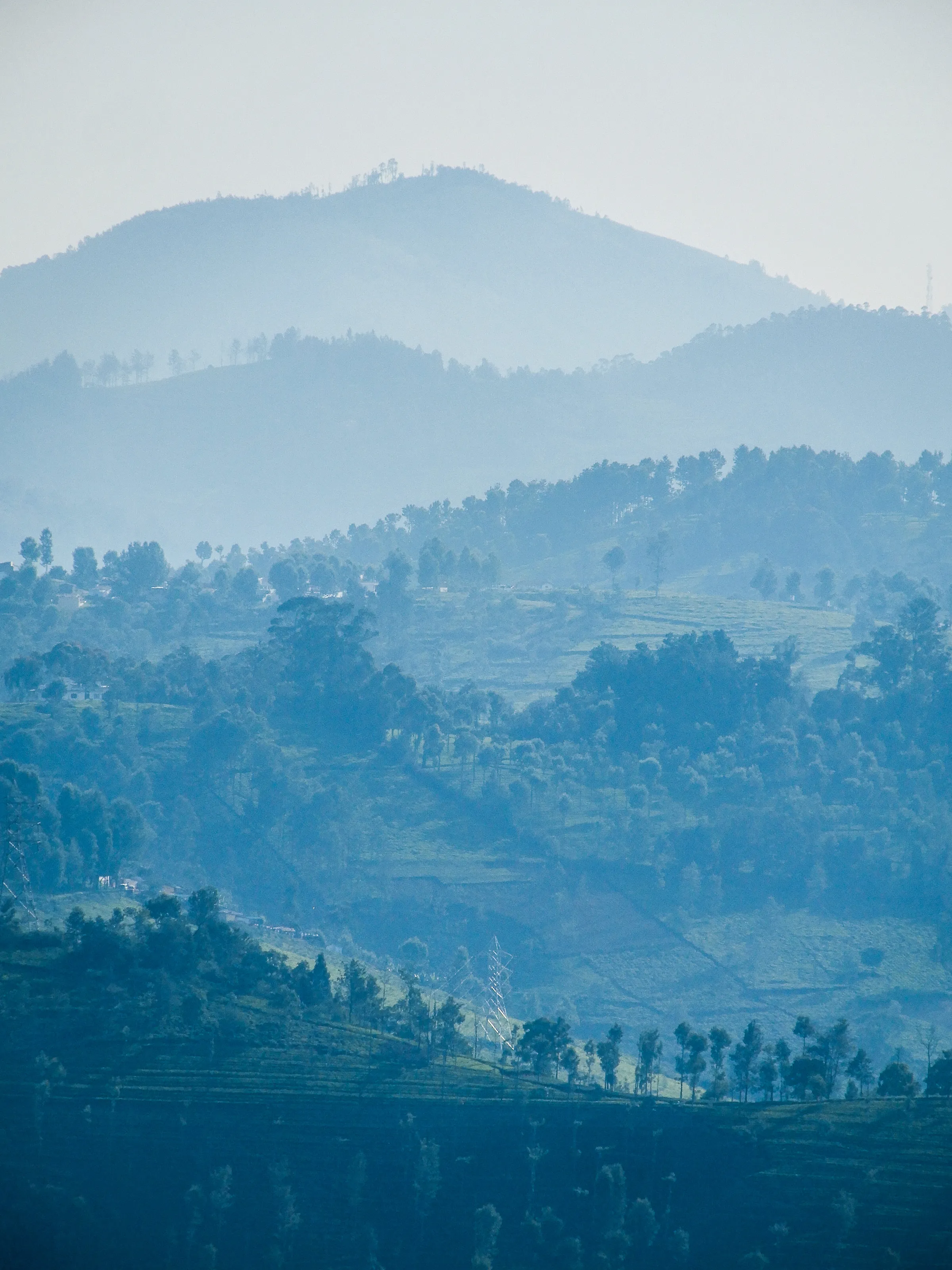 The magic of the Nilgiris