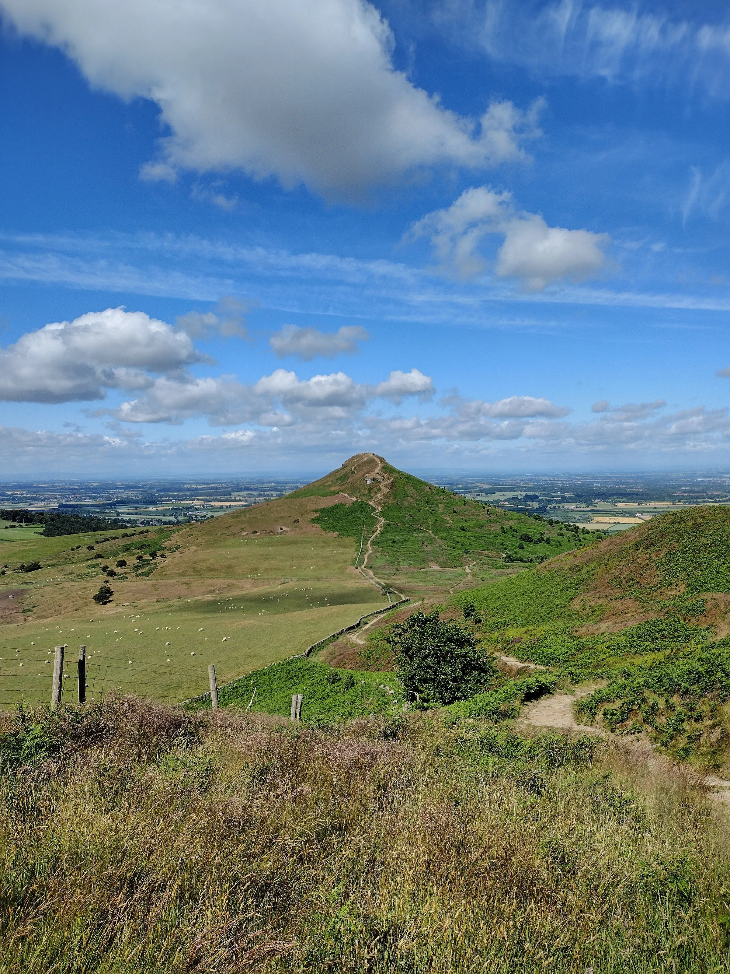 Roseberry Topping