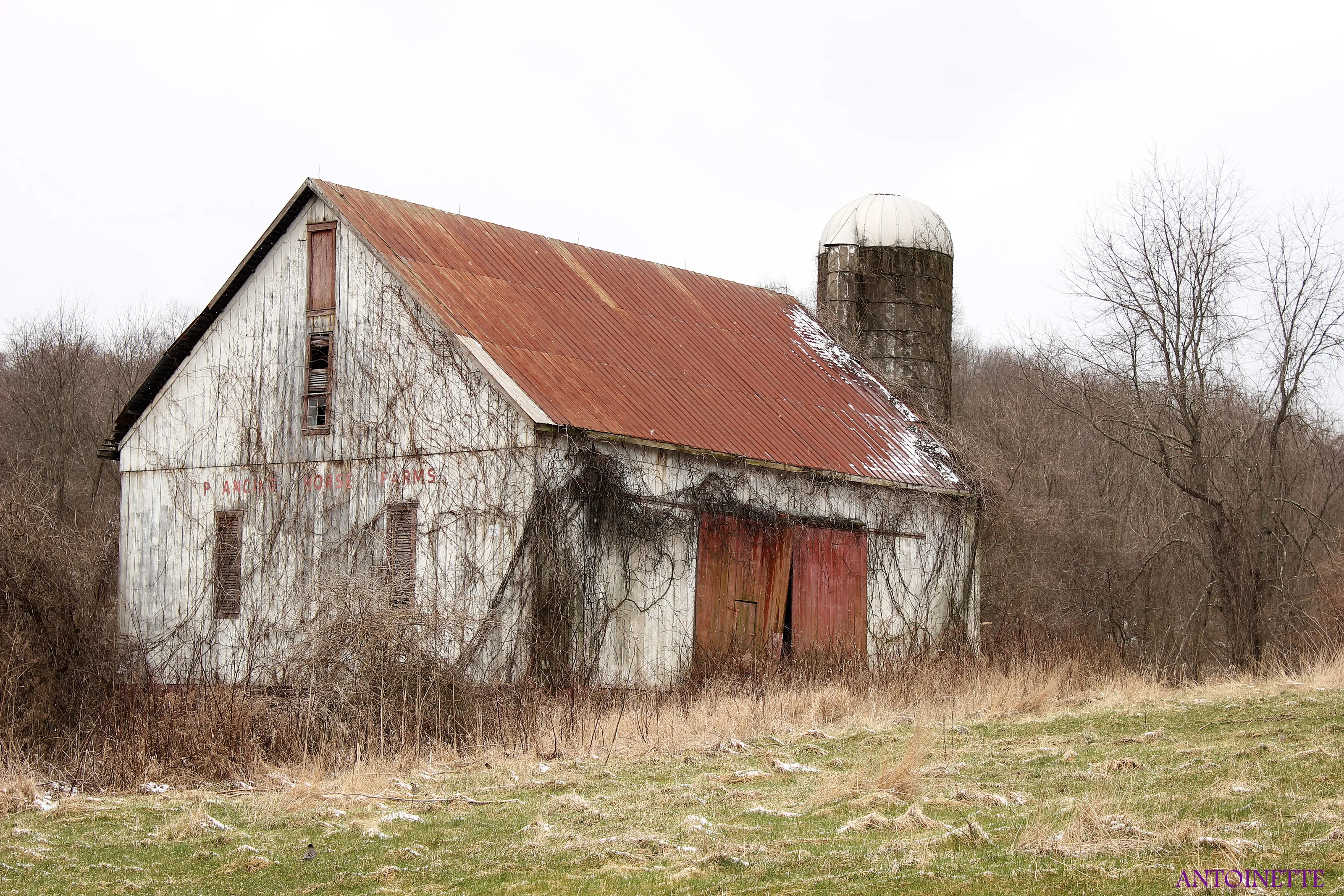 barn