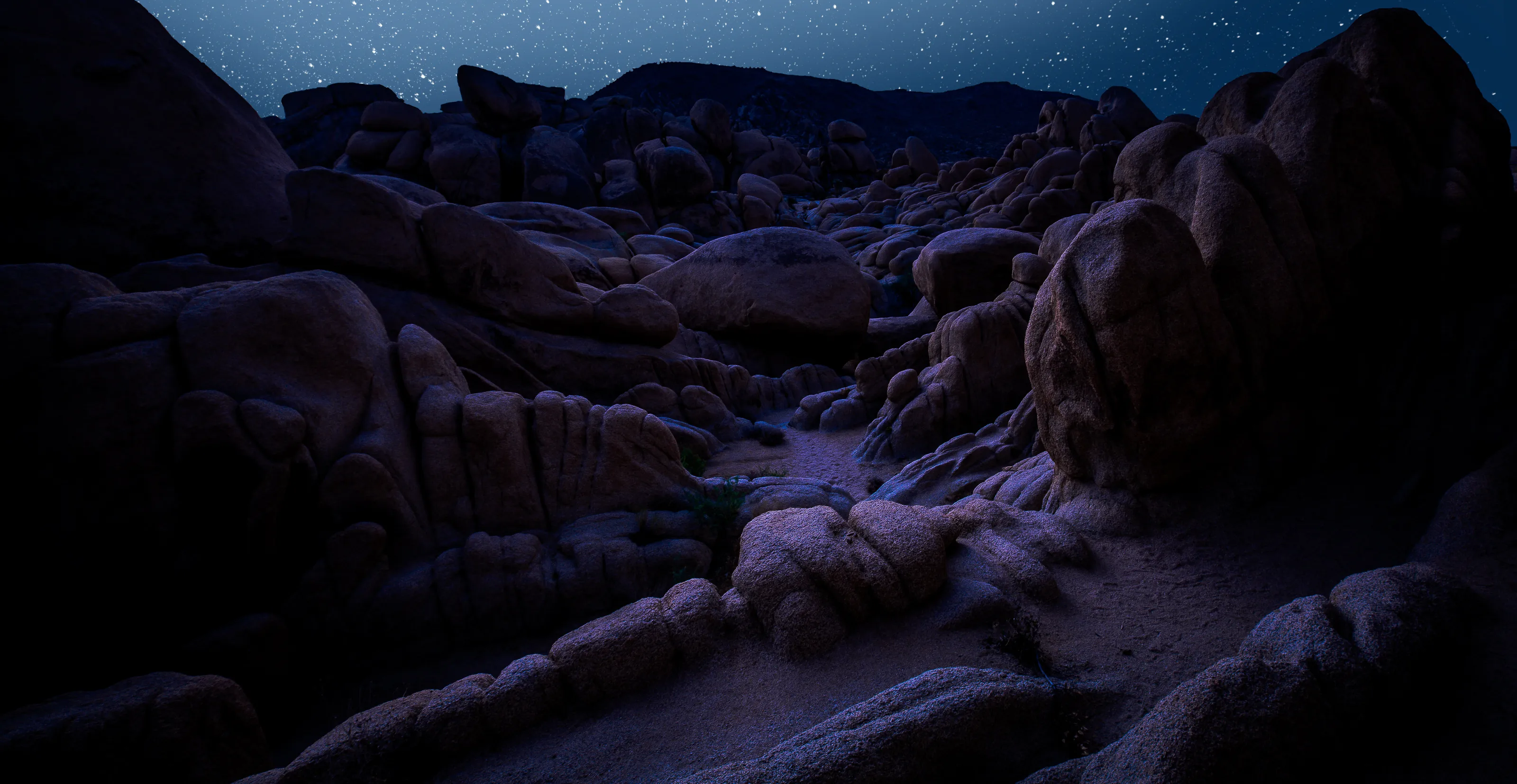 Alien Landscapes