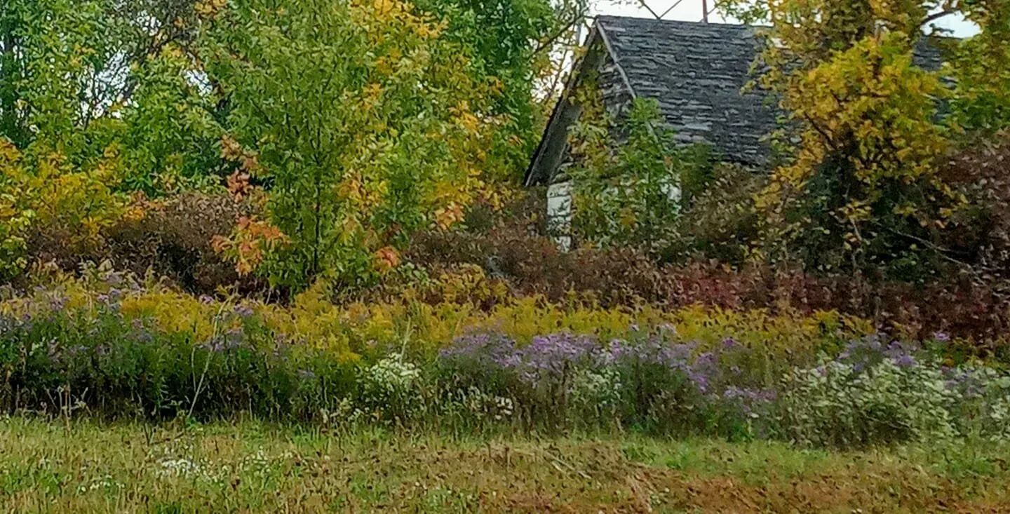 Old home among the flowers and trees