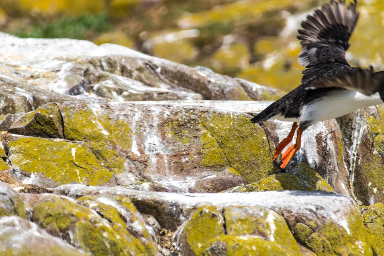Entry 853280
