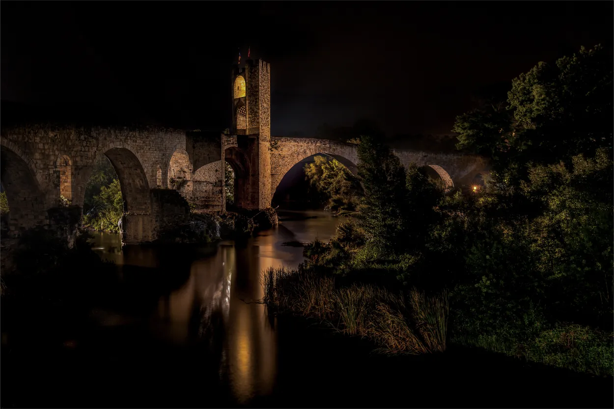 Entry 24603864