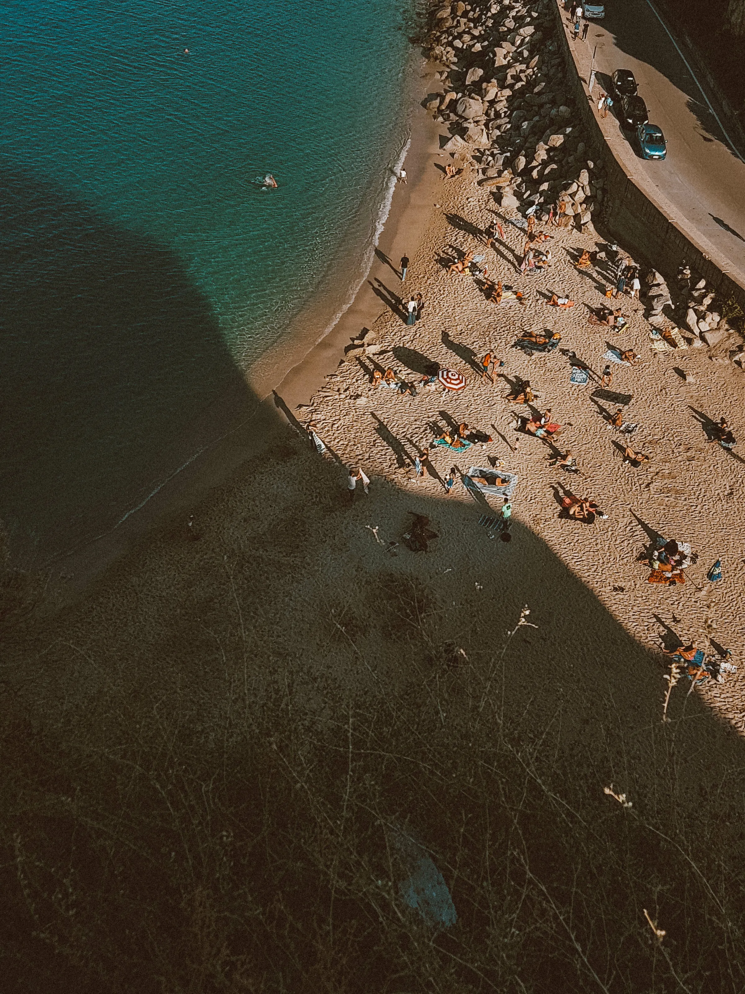 Tropea