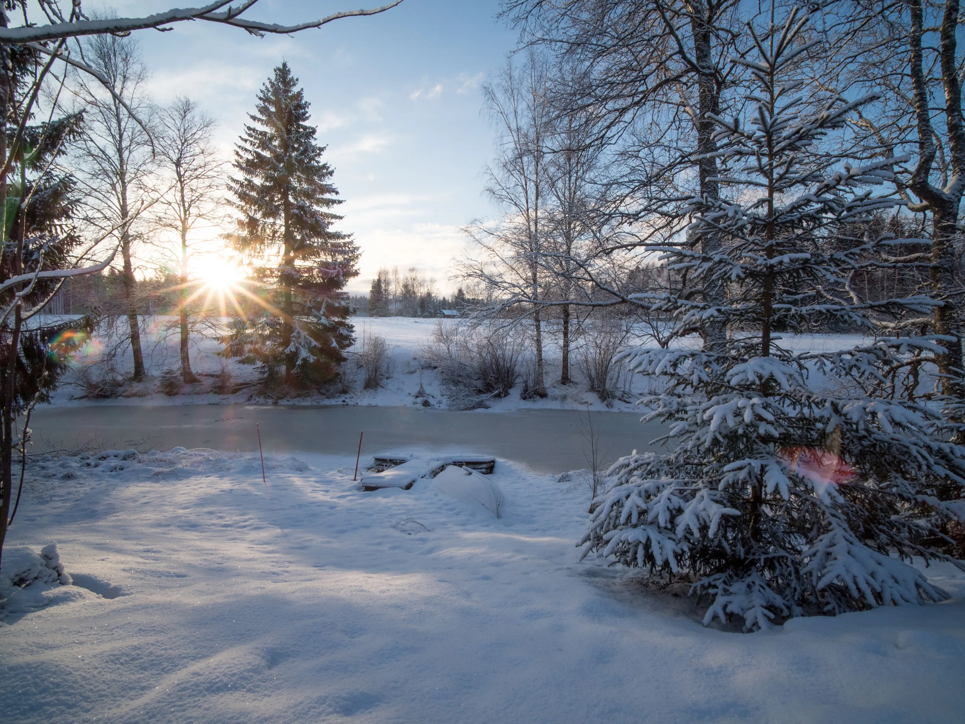 Rare glimpse of a winter sun
