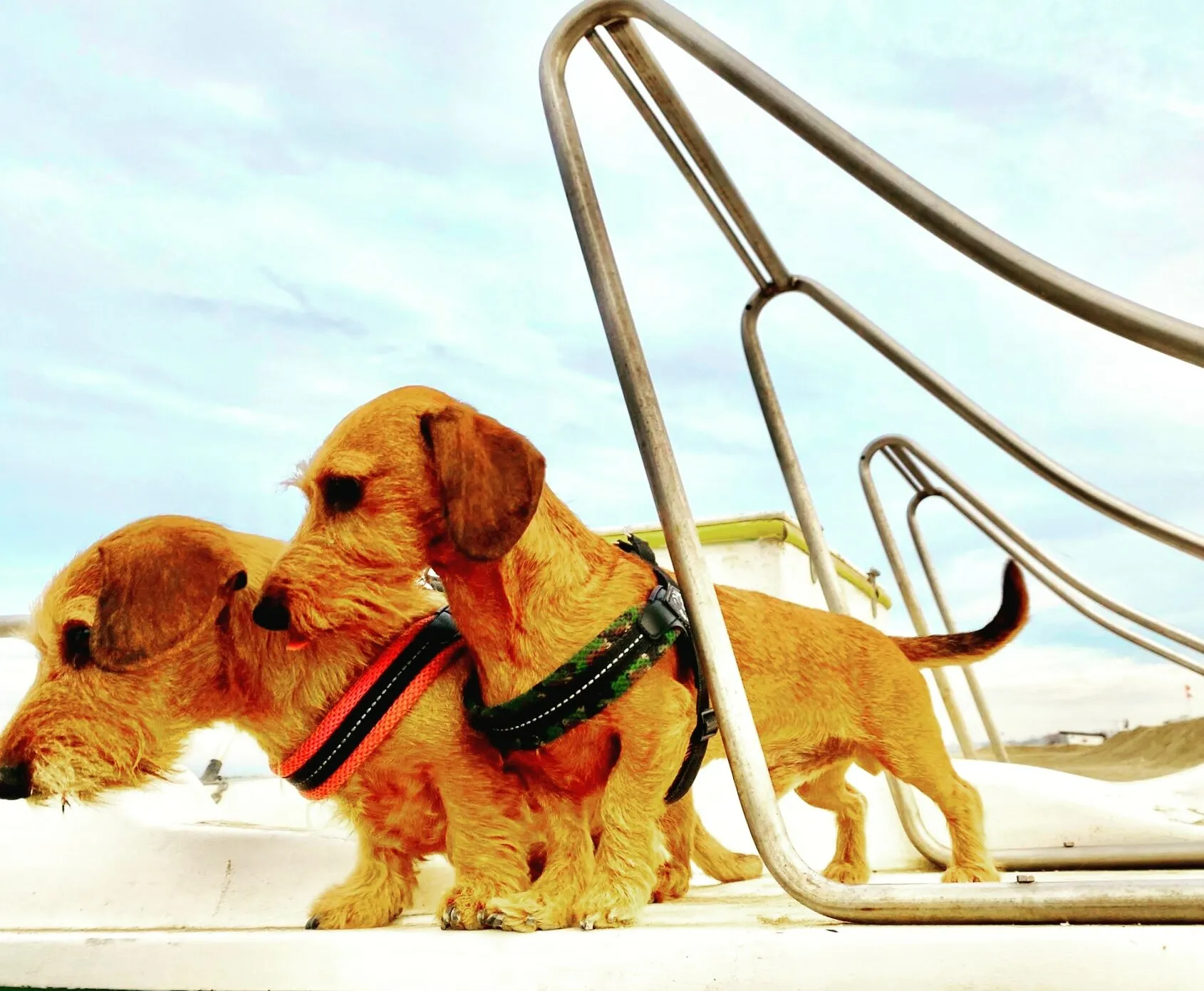 Oliver e Camilla