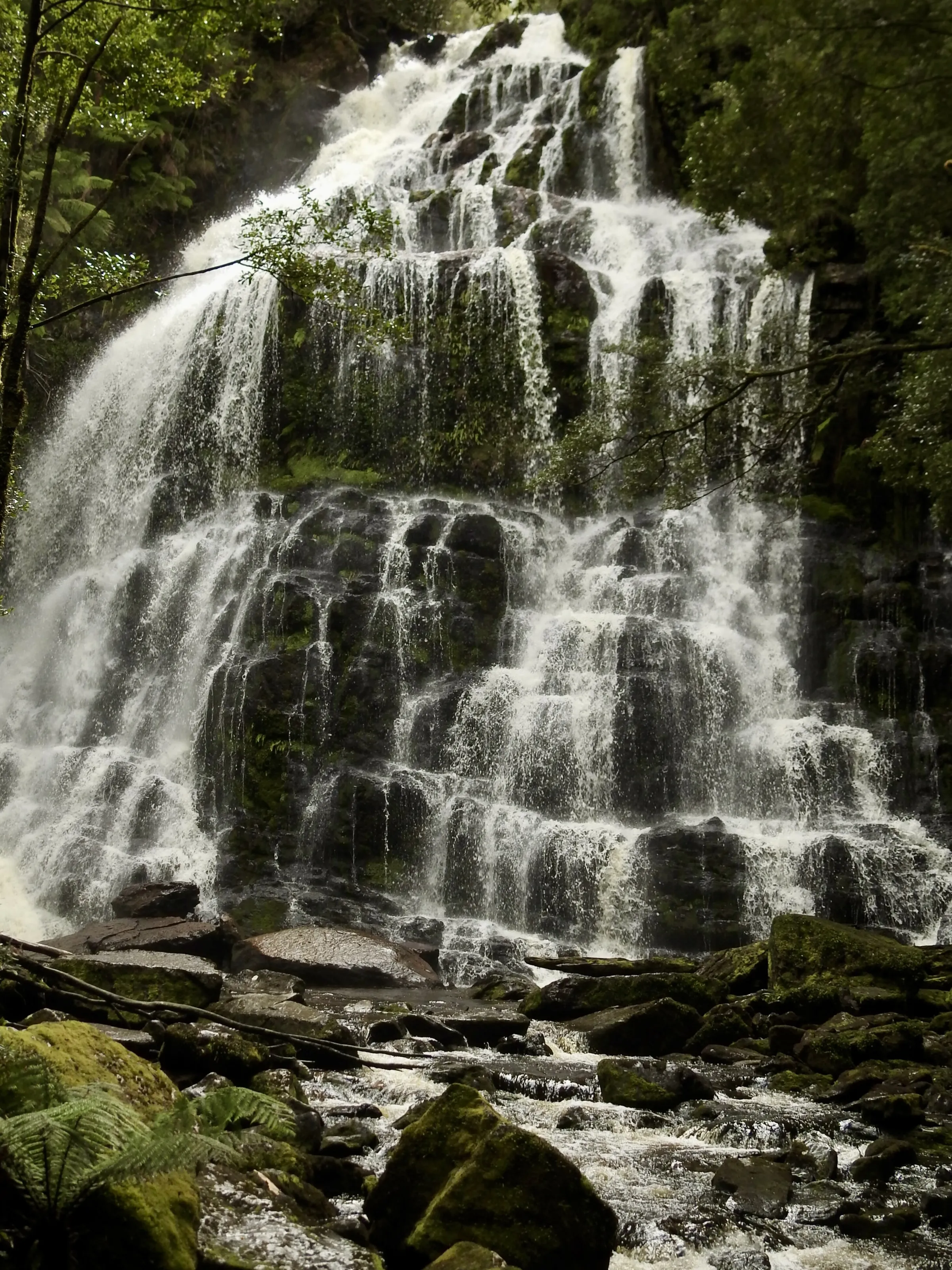 Nelson Falls, Tasmania