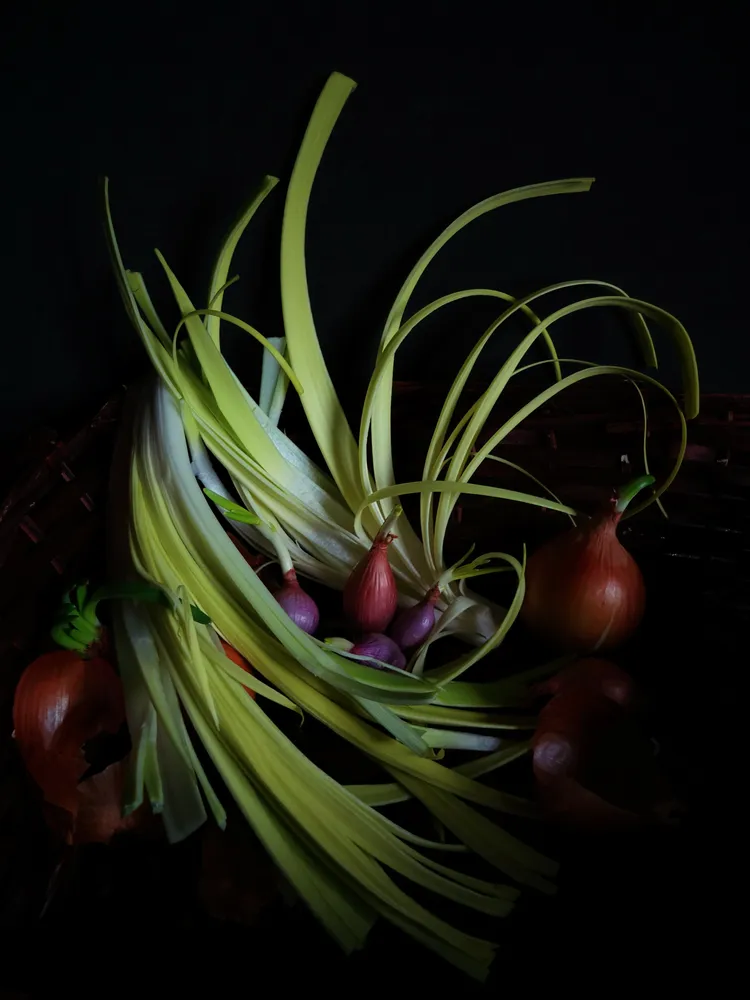 Leeks and onions