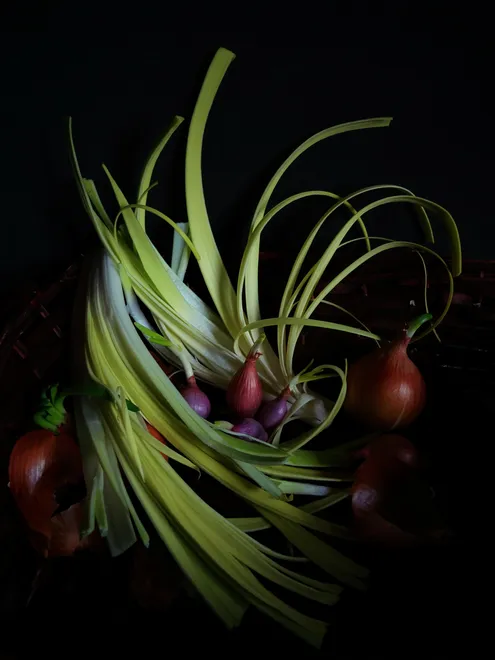 Leeks and onions