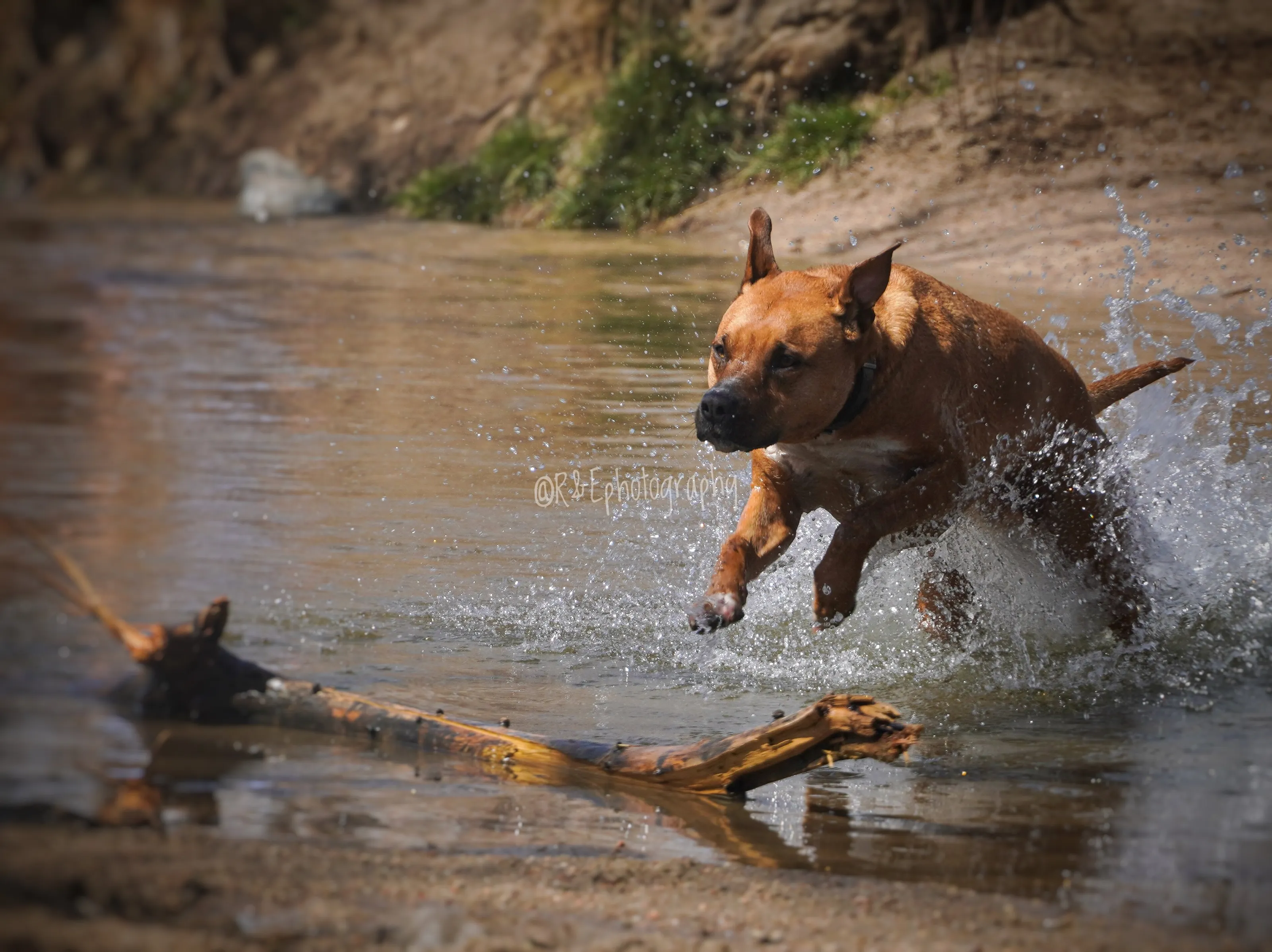 Splash of speed
