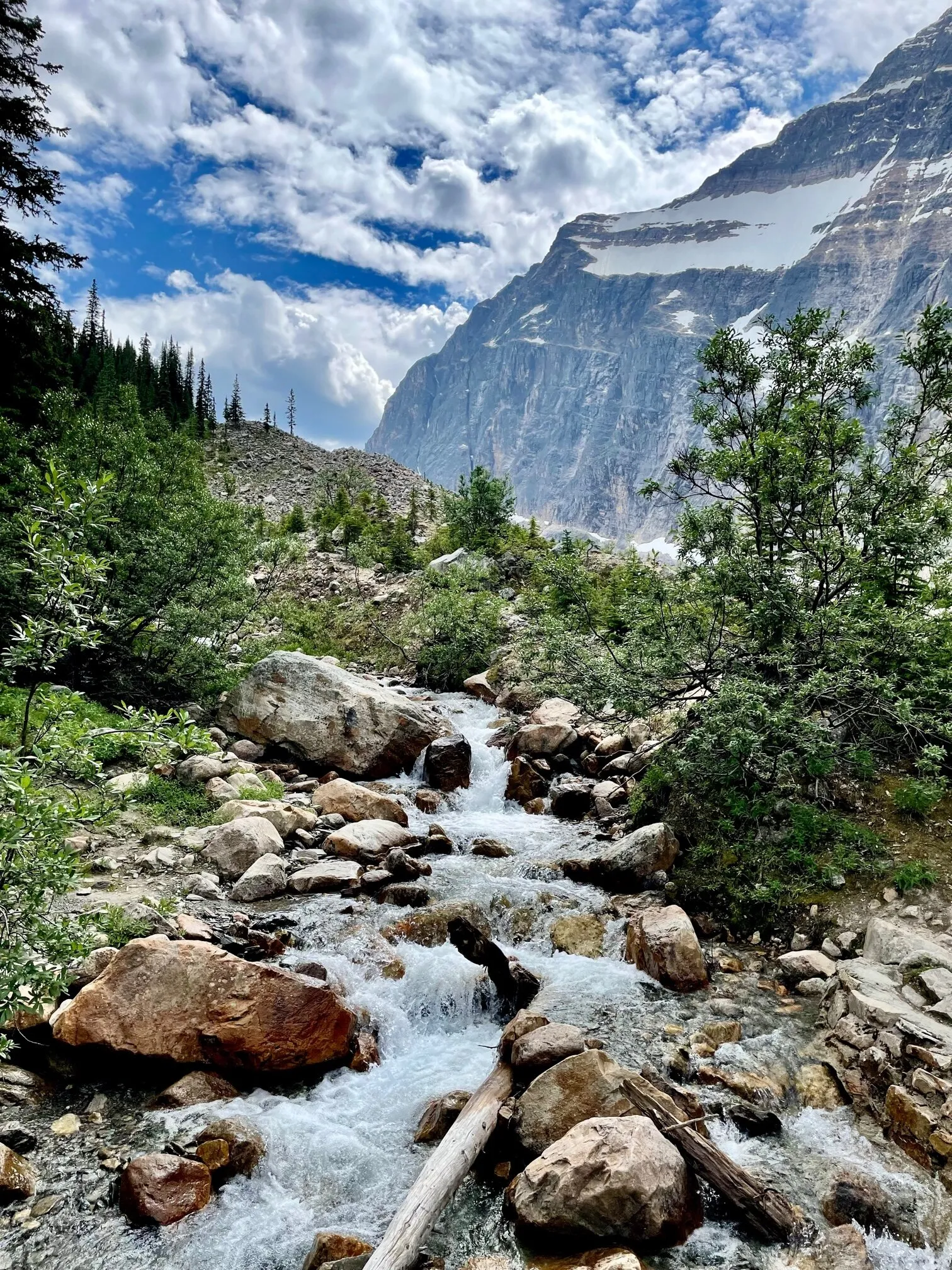 A perfect day on Mount Edith Cavell