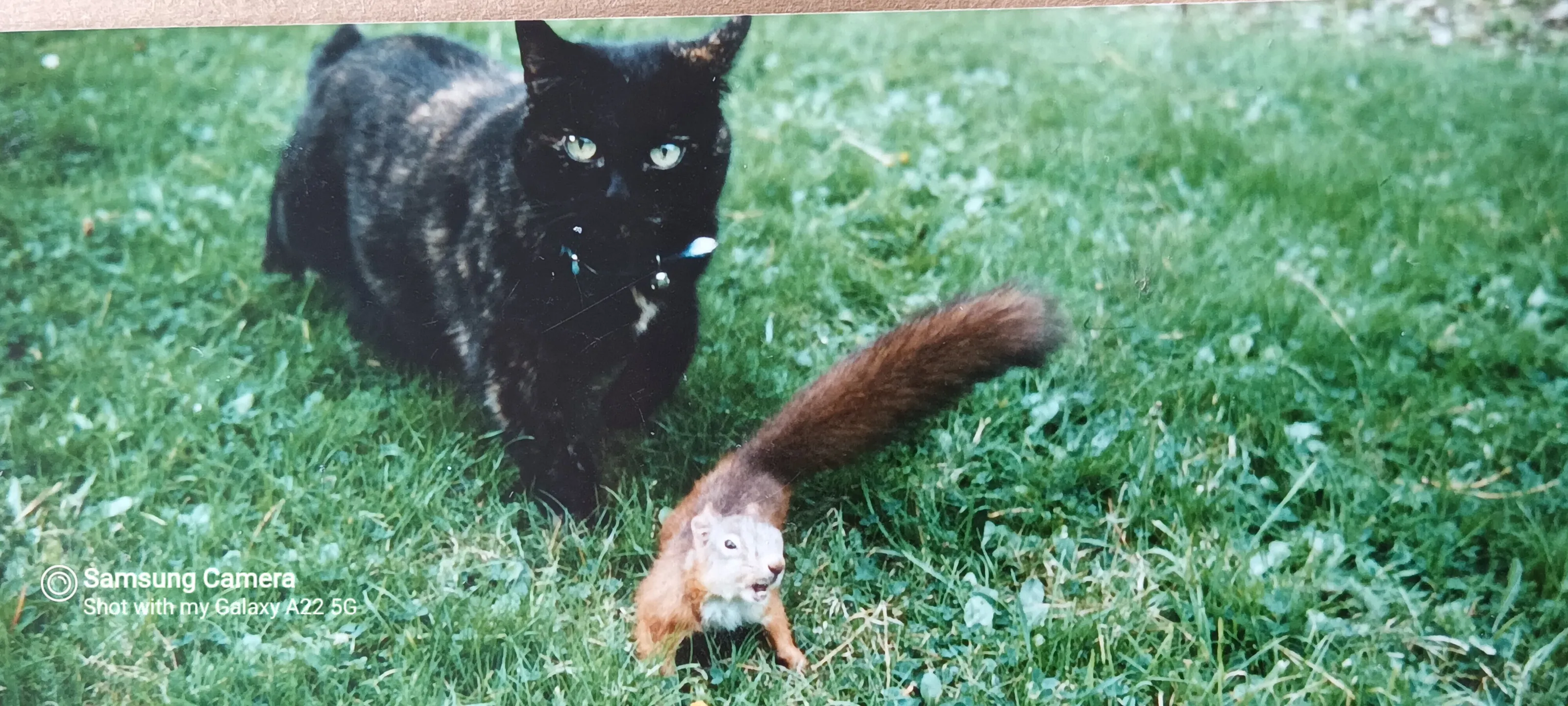 Look behind you!