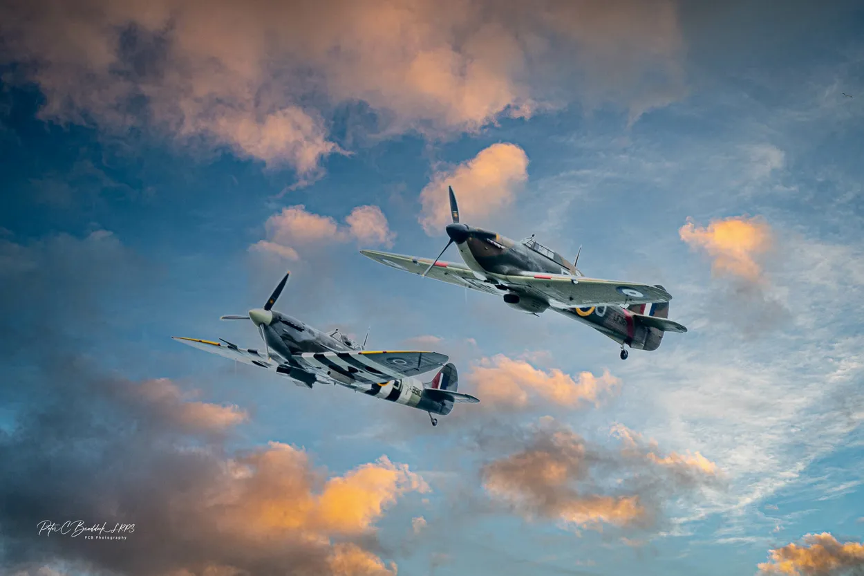 Entry 21035865