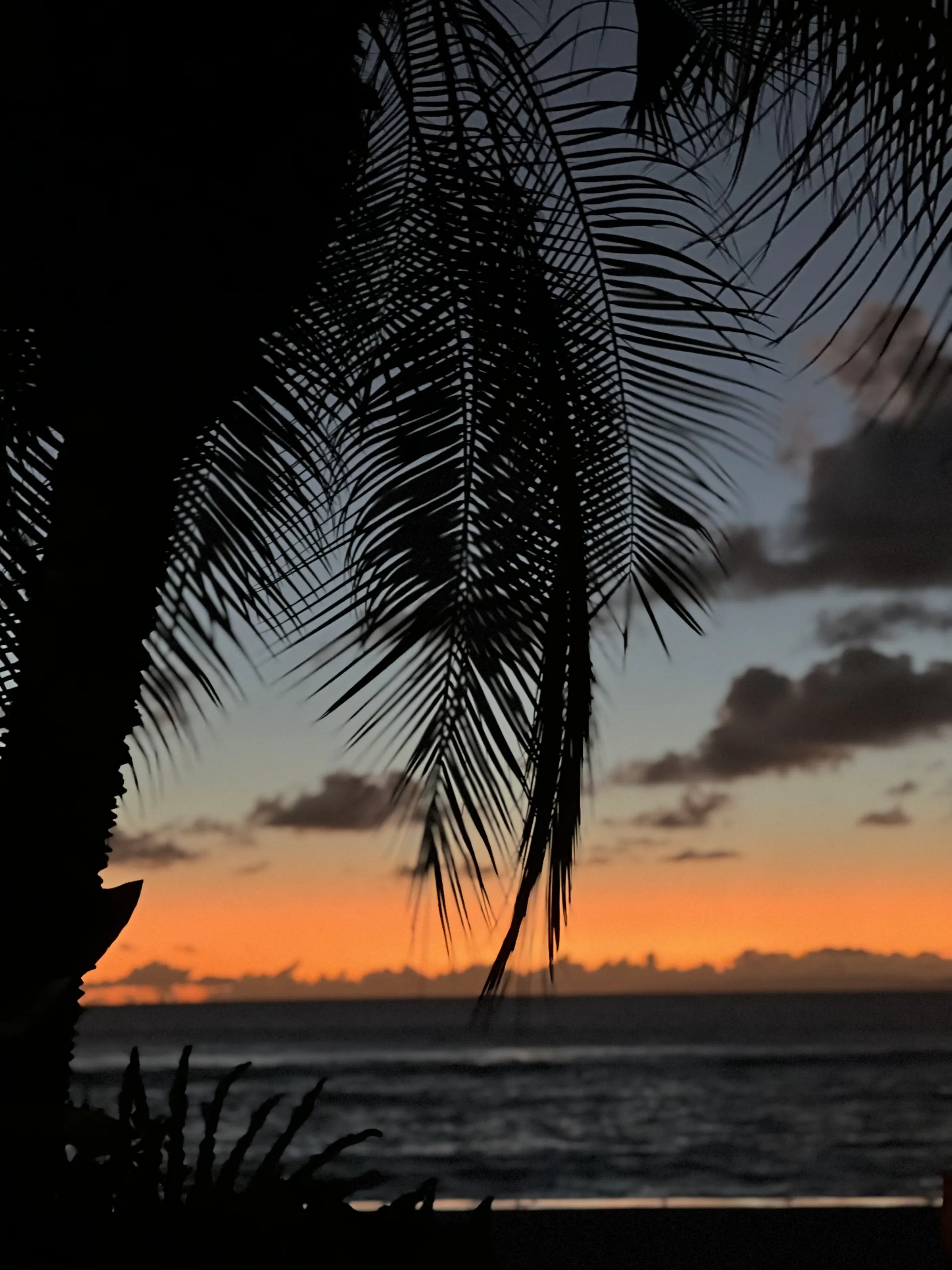 Sunset silhouette