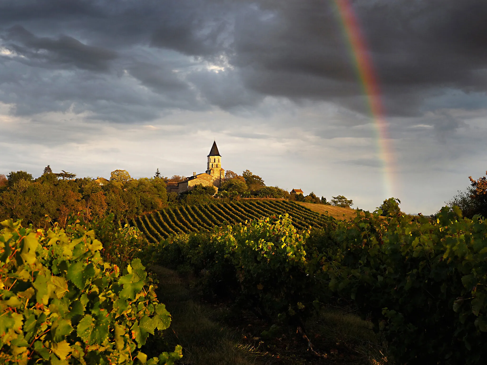 labastide de levis France