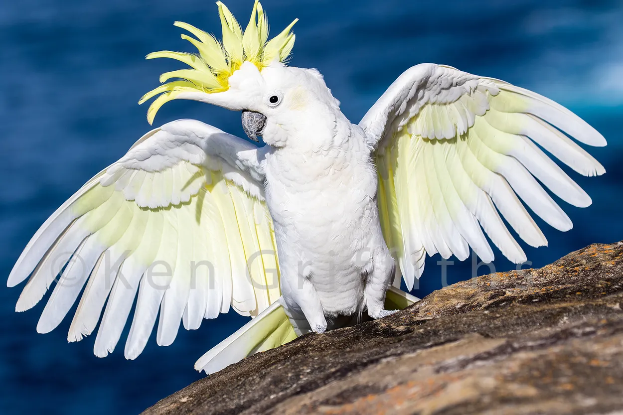 Entry 856869