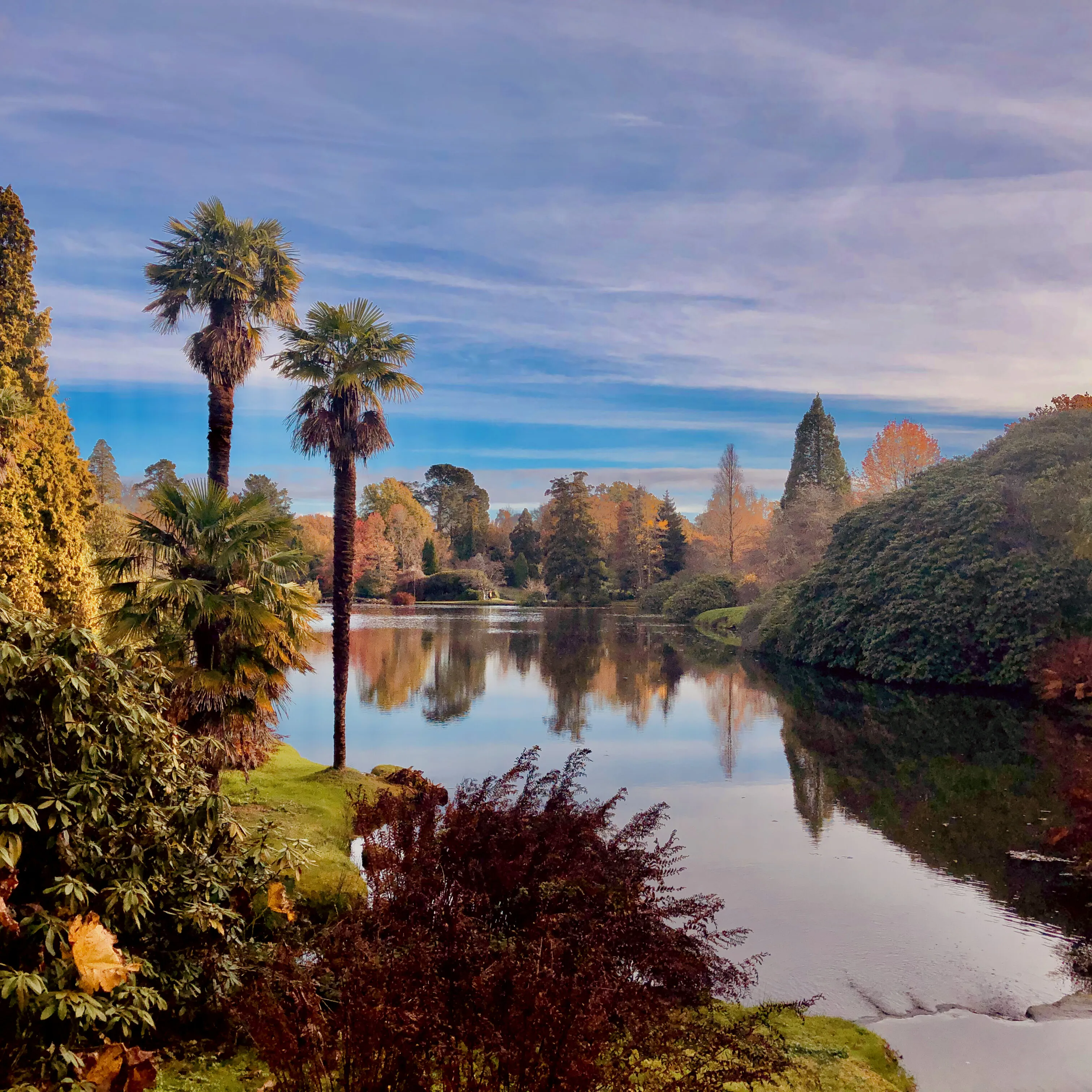 Autumnal scene at Sheffield Park