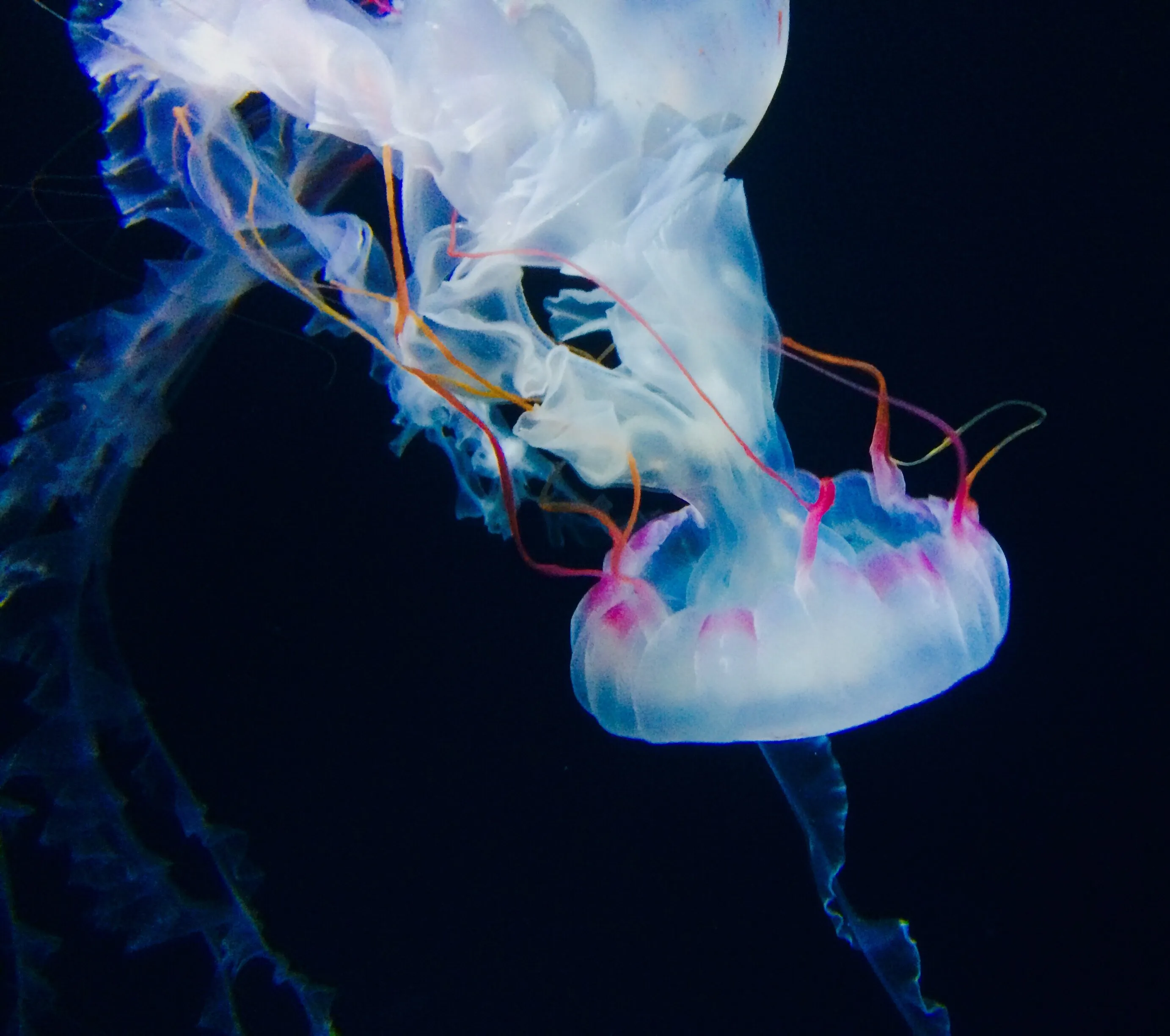 Among the deep blue
