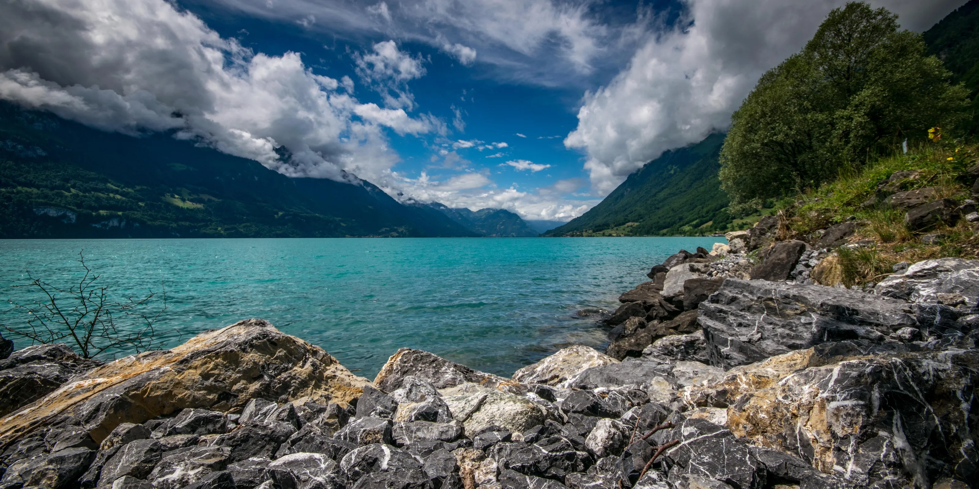 Scenic Thunersee