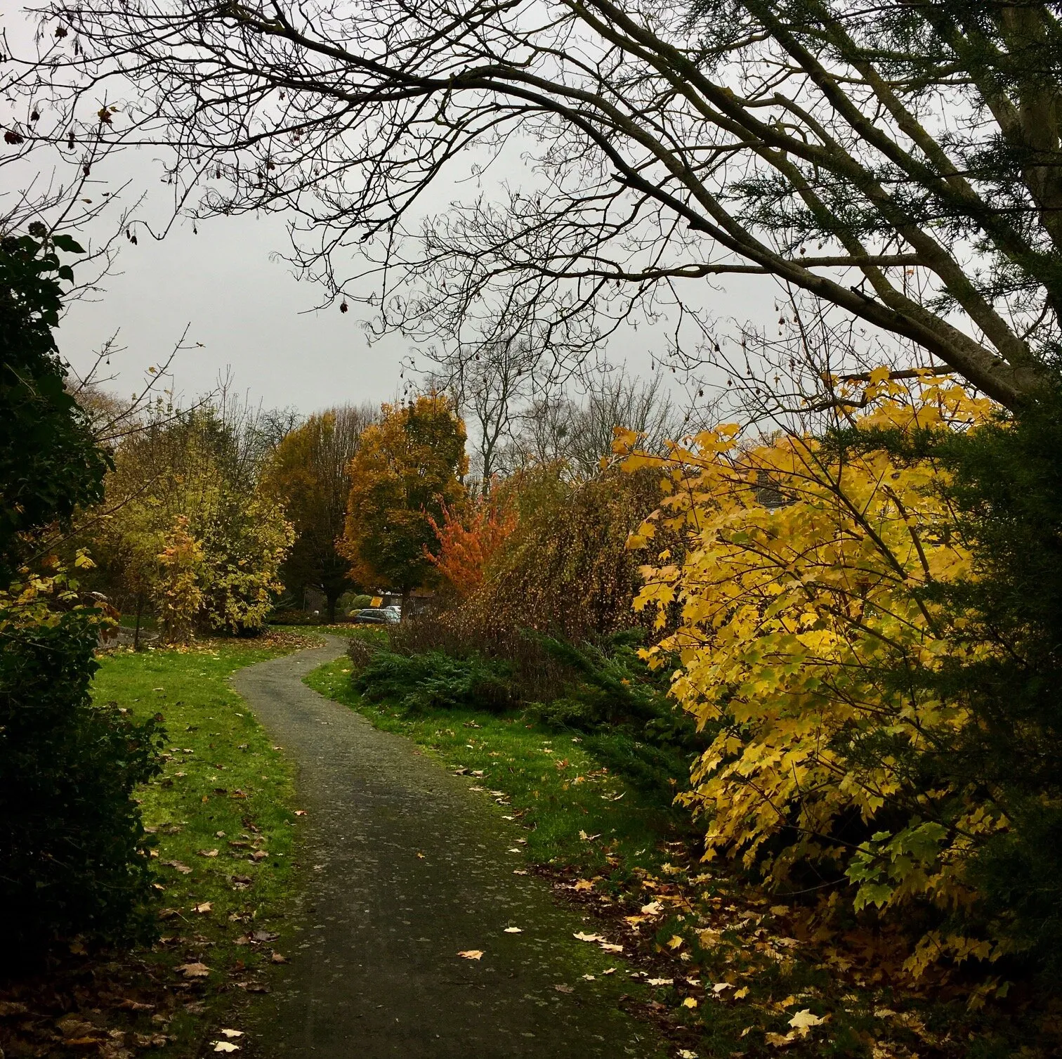 Nature colours