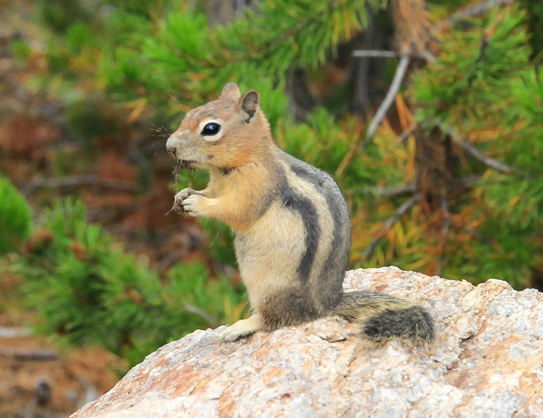 Snack Time