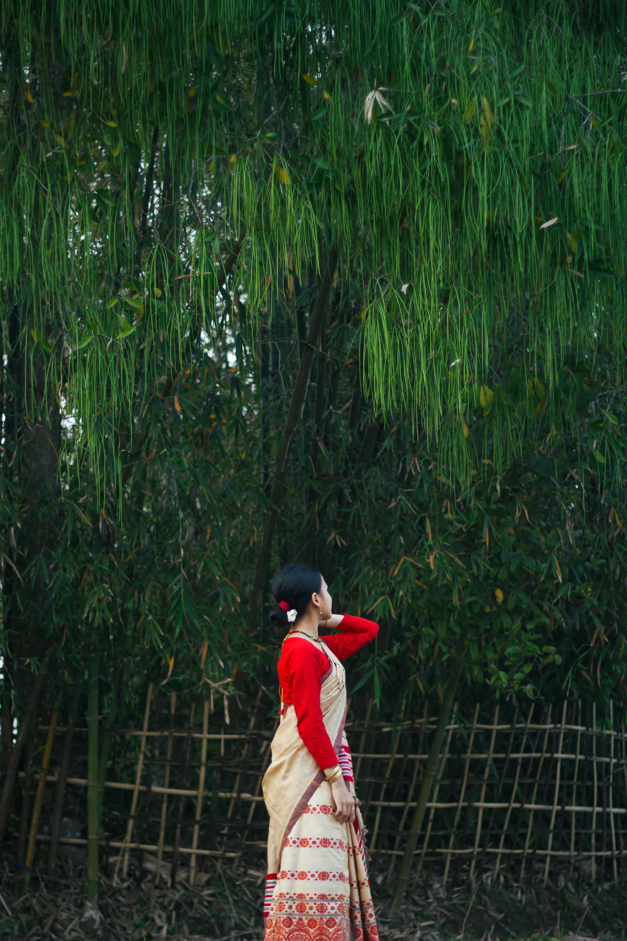 Bihu festival