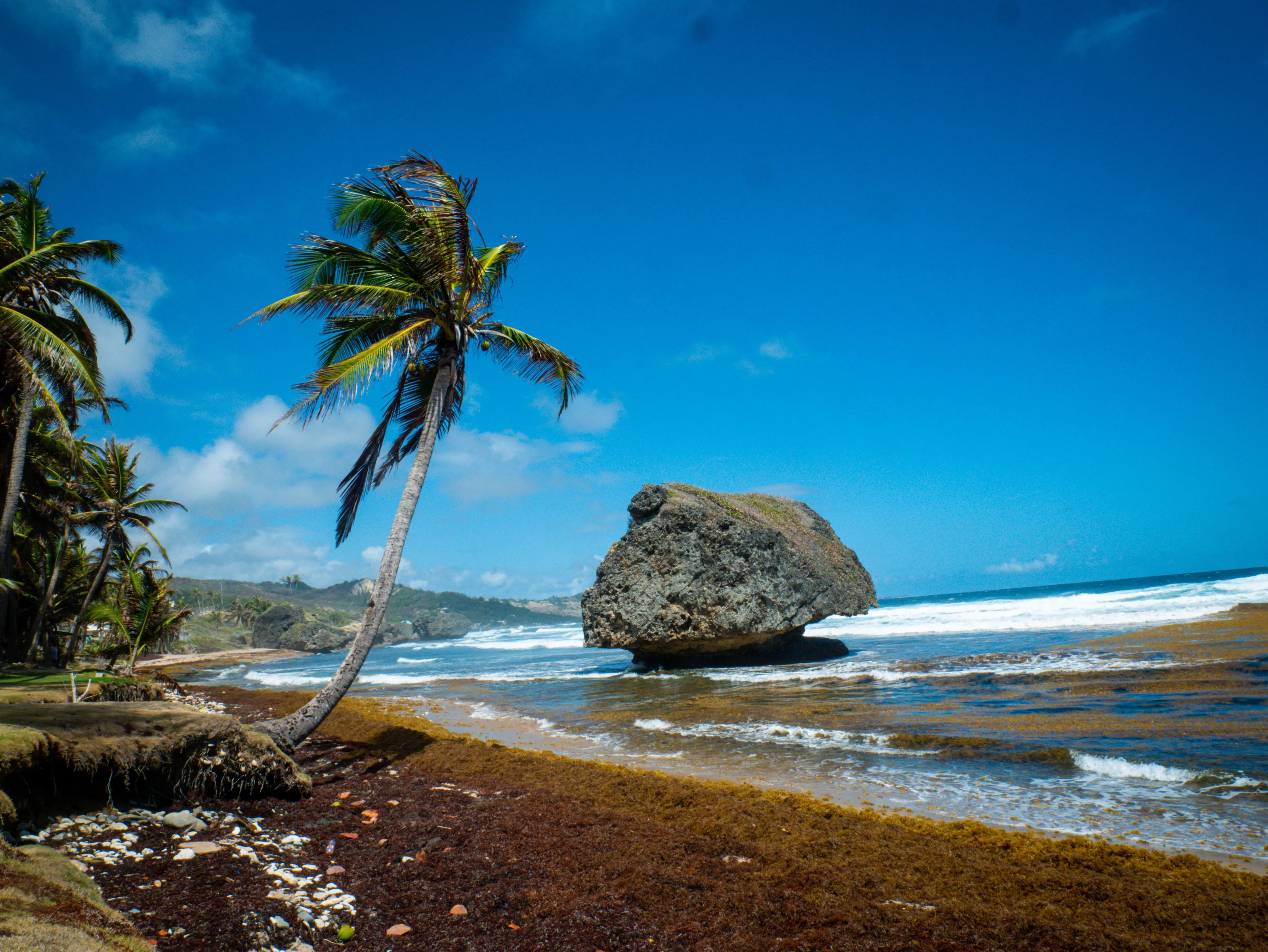 Bathsheba, Barbados