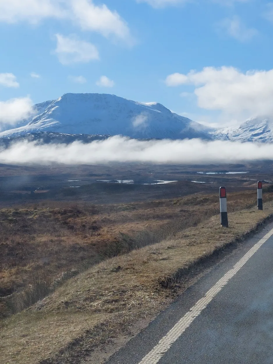 Entry 16255819