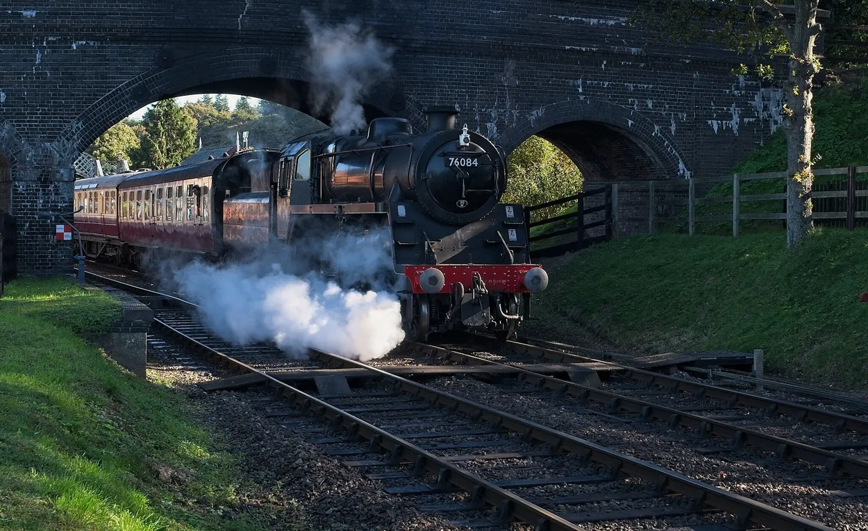 Entry 19078245